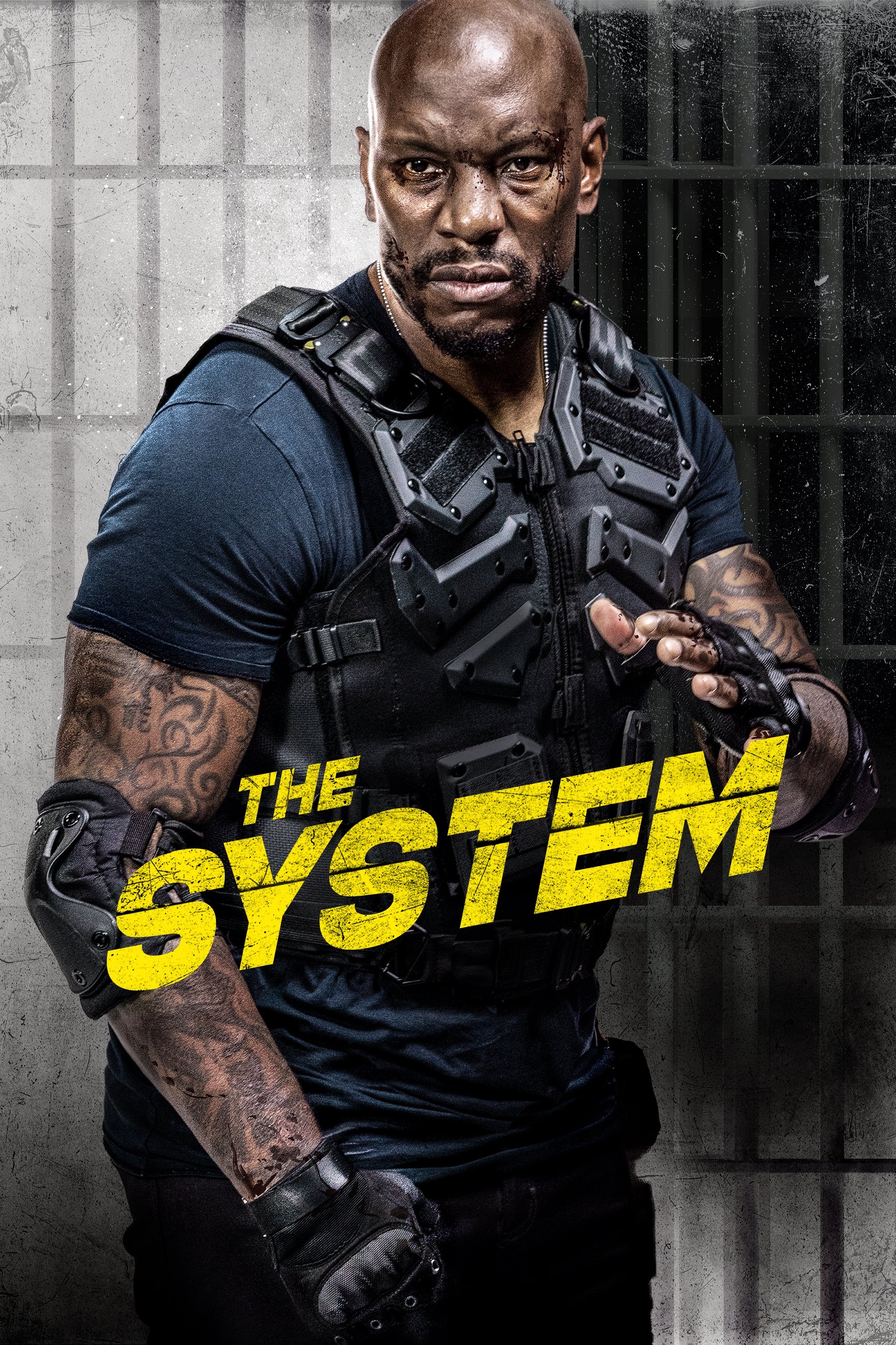  The System 
