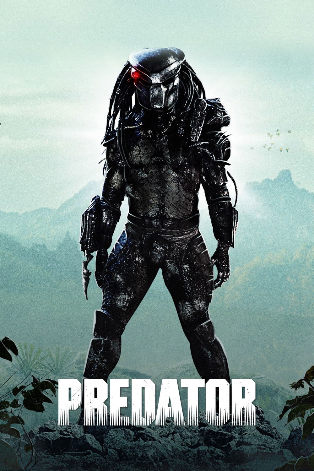  Predator 