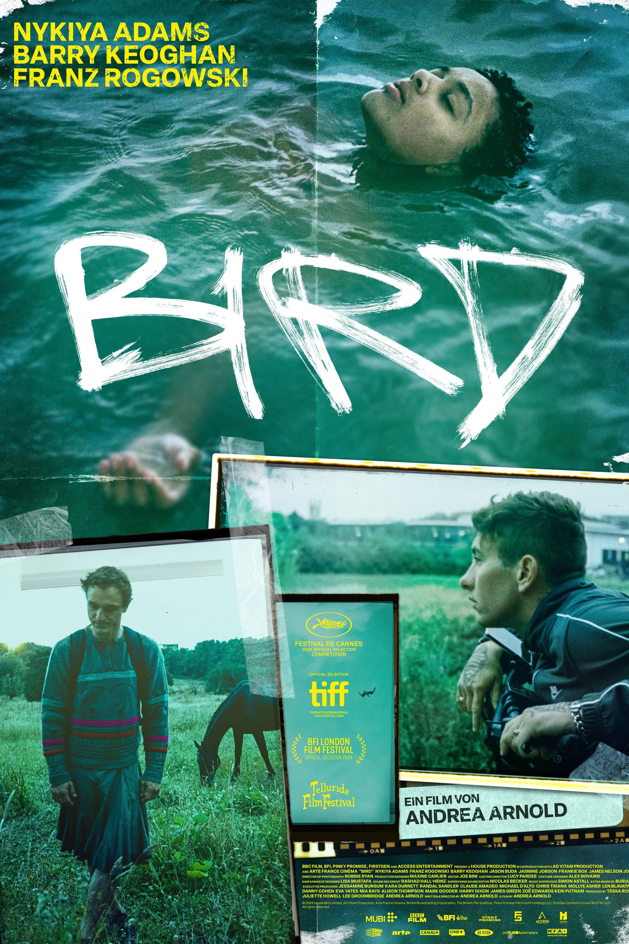  Bird 