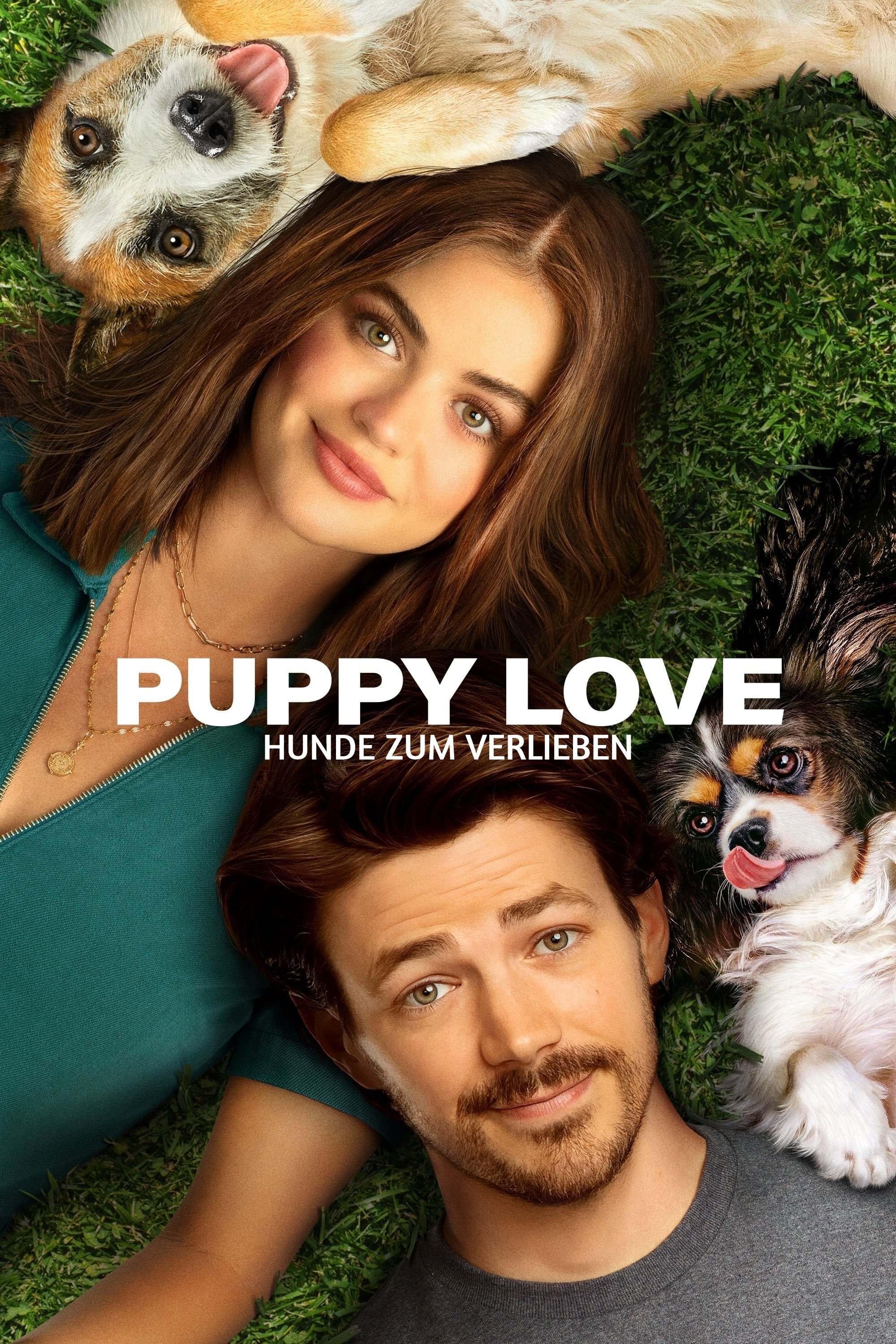 Puppy Love - Hunde zum Verlieben 