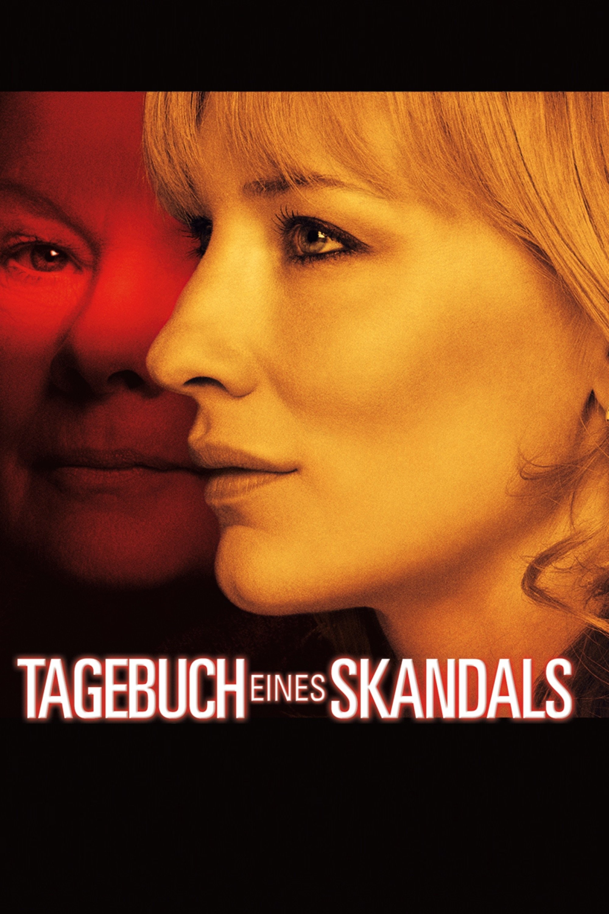  Tagebuch eines Skandals 