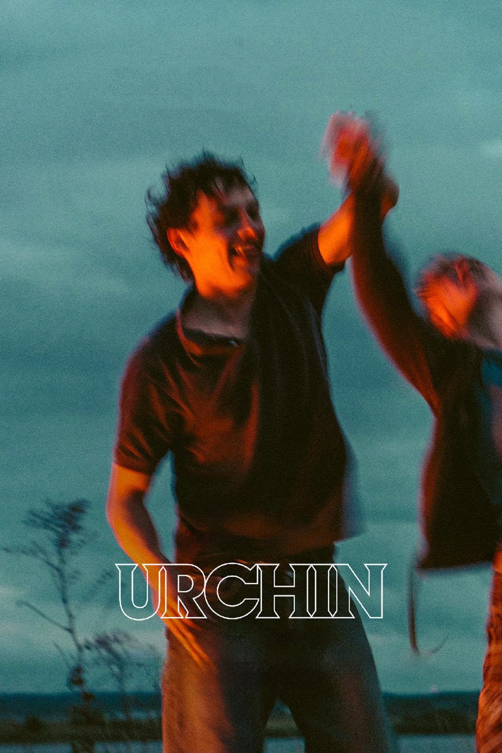 Urchin 