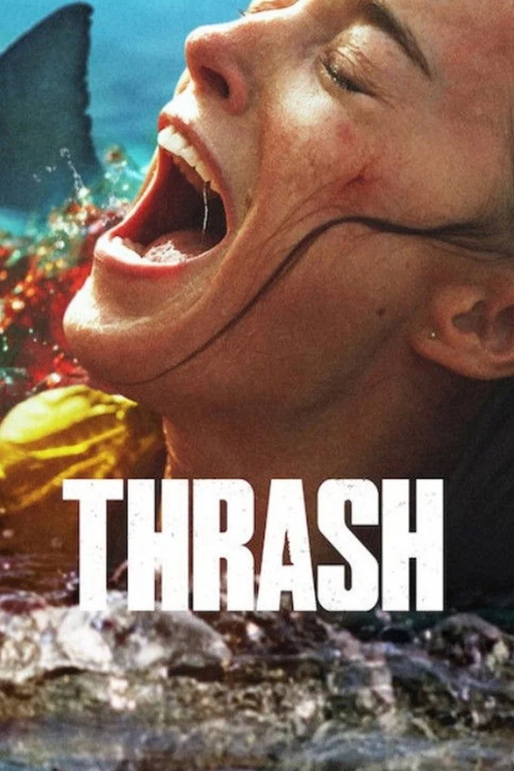  Thrash 