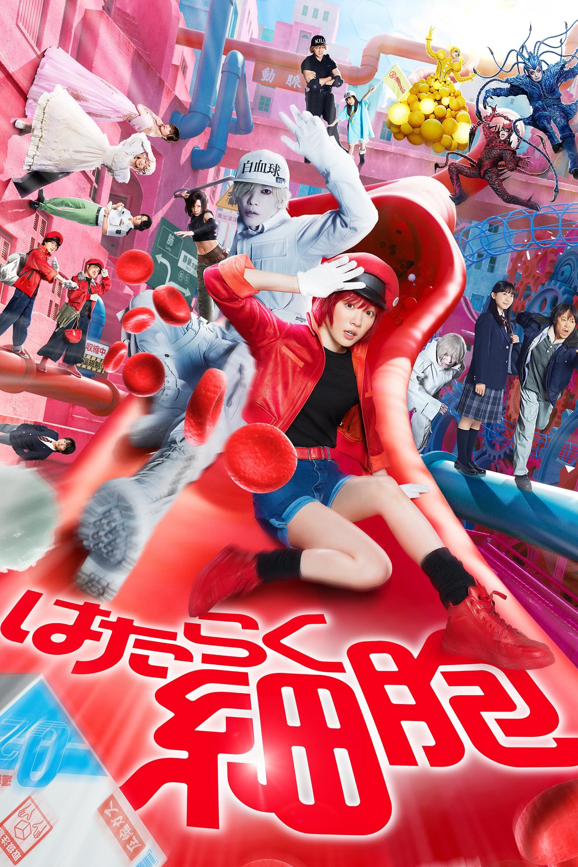  Cells at Work! 