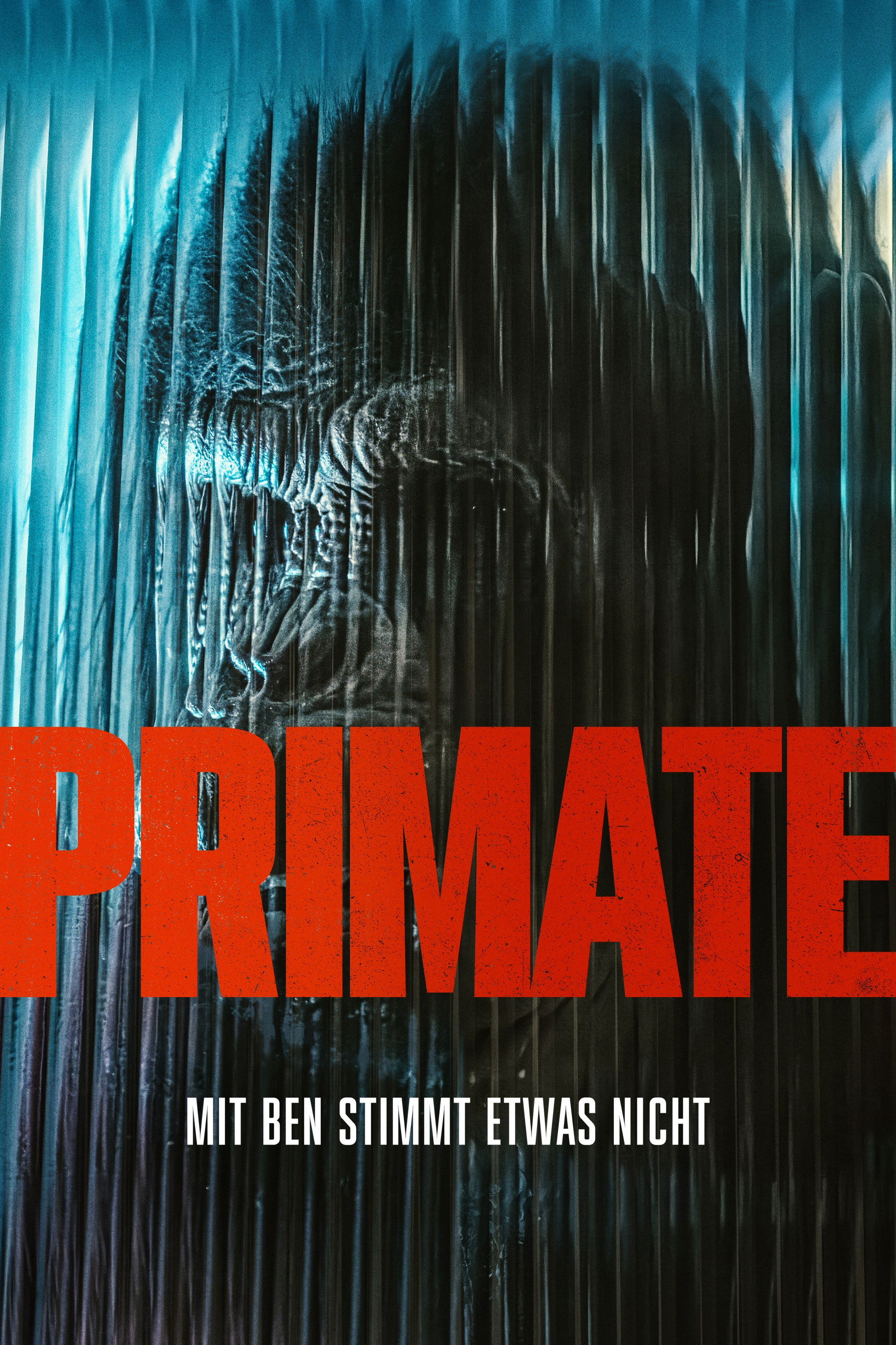 Primate 