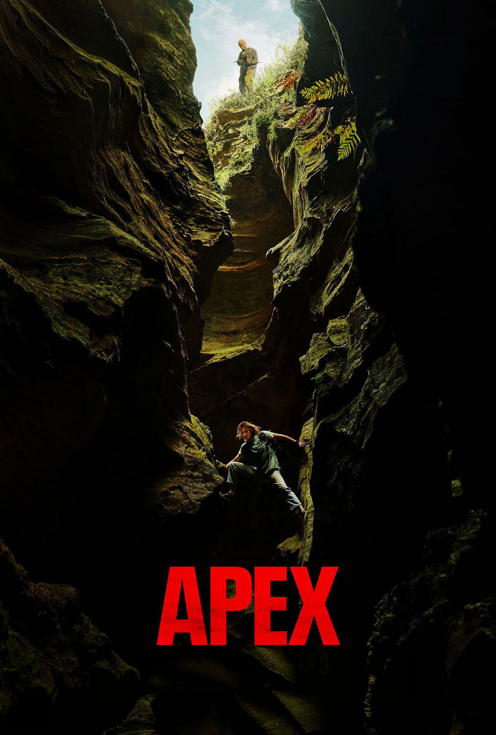  Apex 