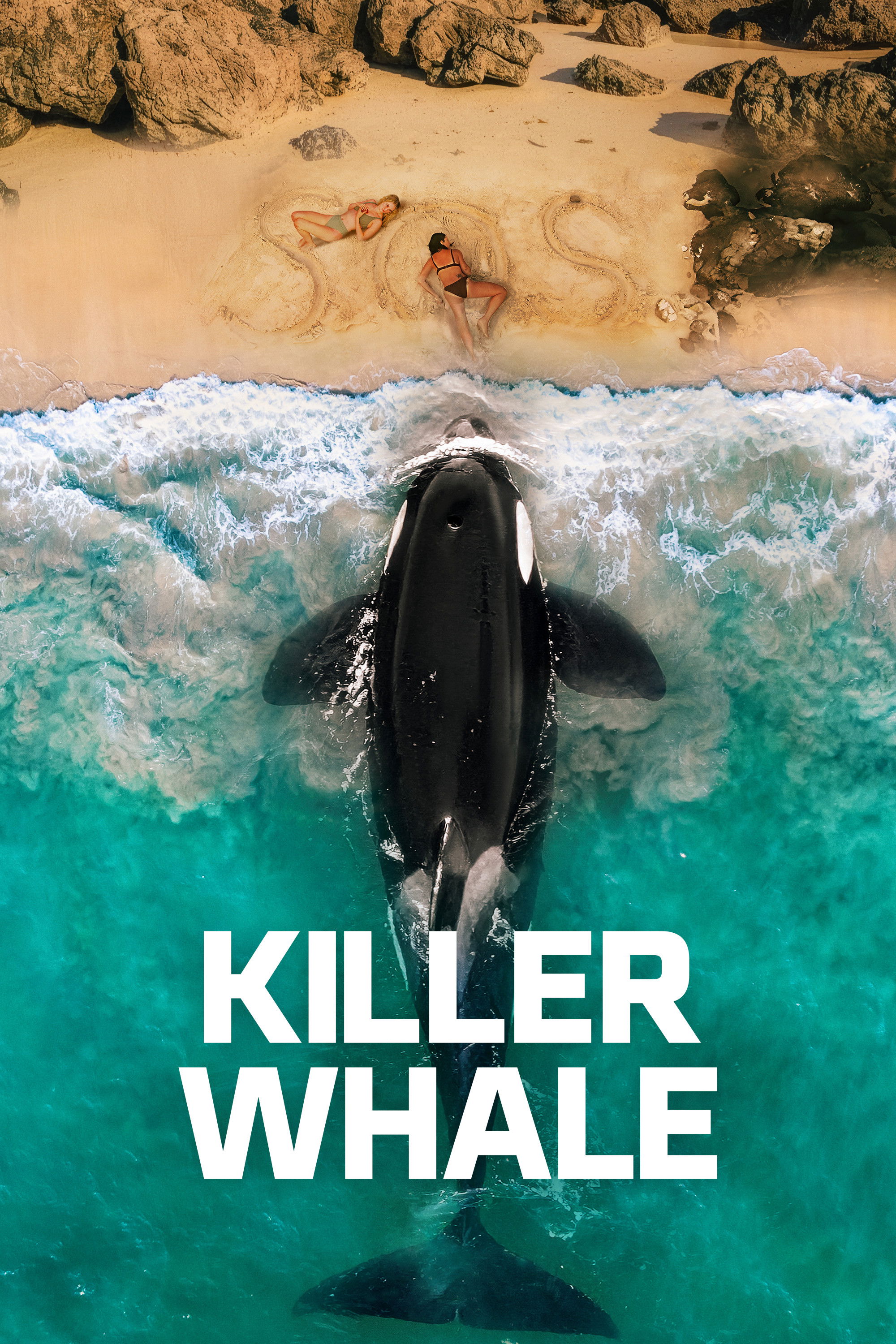  Killer Whale 