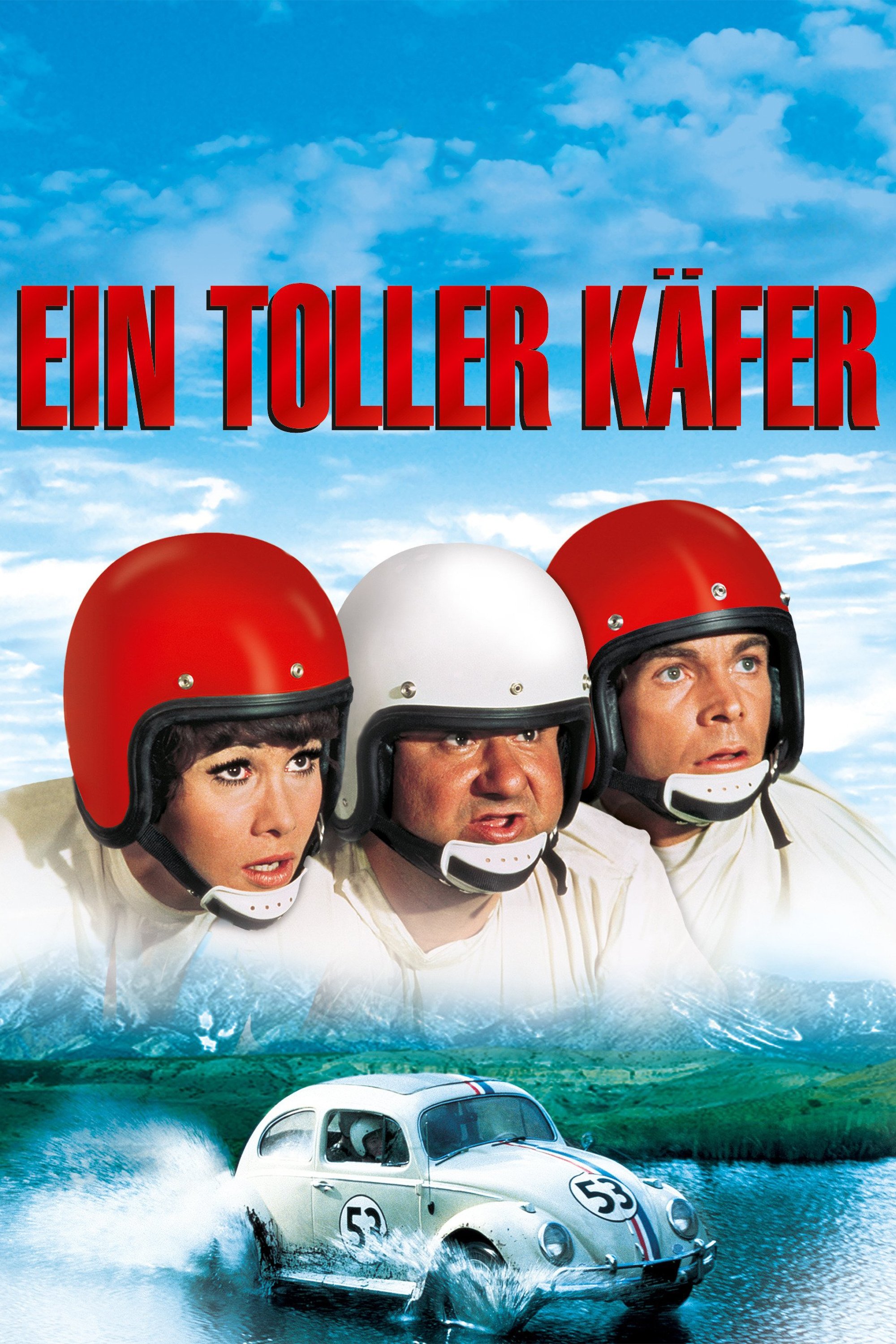  Ein toller Käfer 