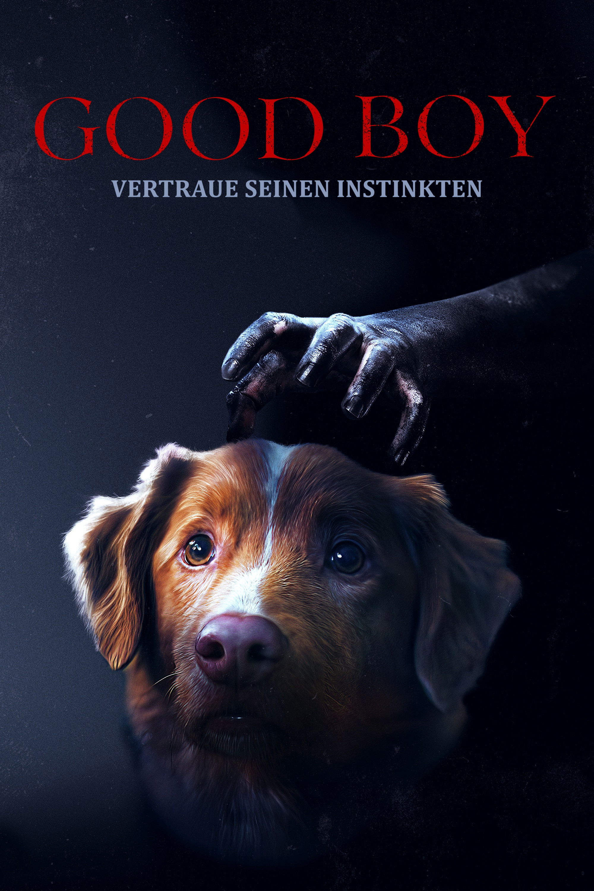  Good Boy - Trust His Instincts 