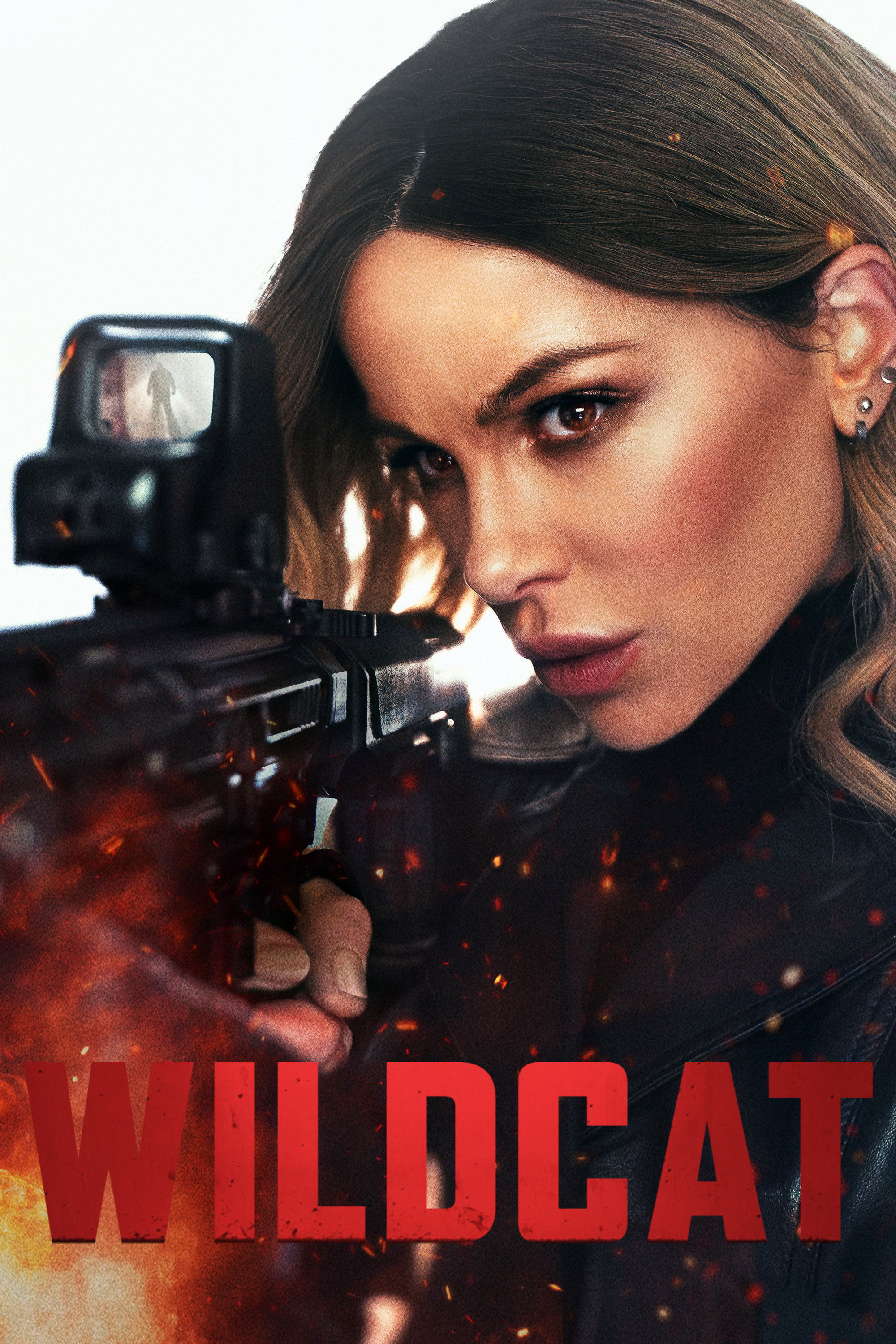  Wildcat 