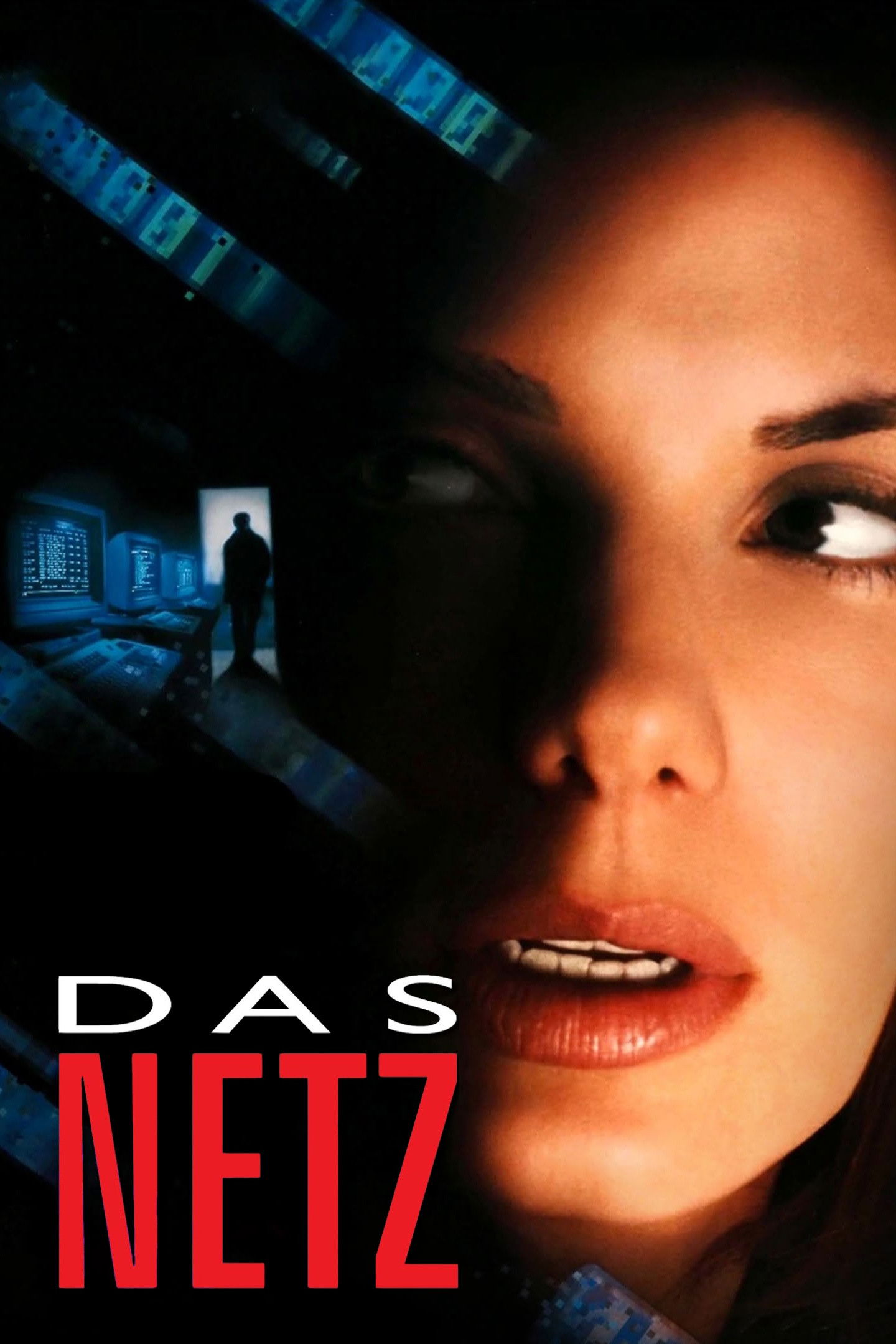  Das Netz 
