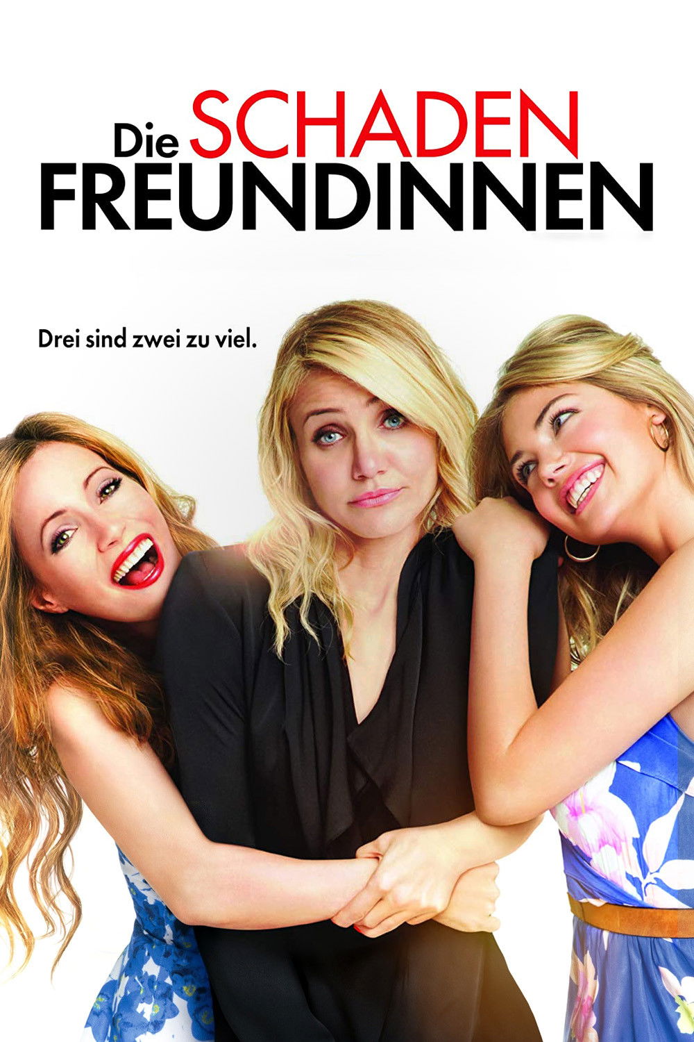  Die Schadenfreundinnen 