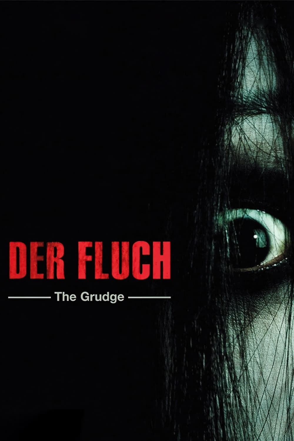  Der Fluch - The Grudge 