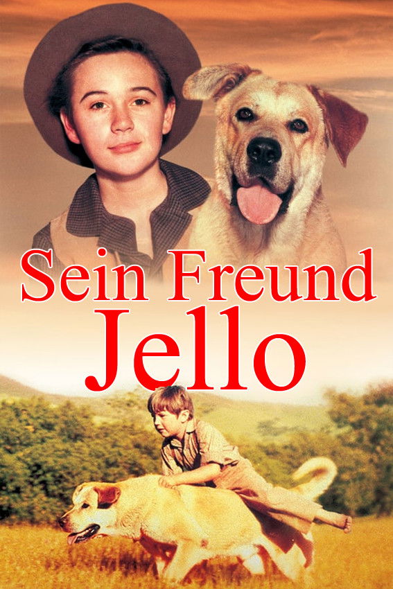  Sein Freund Jello 