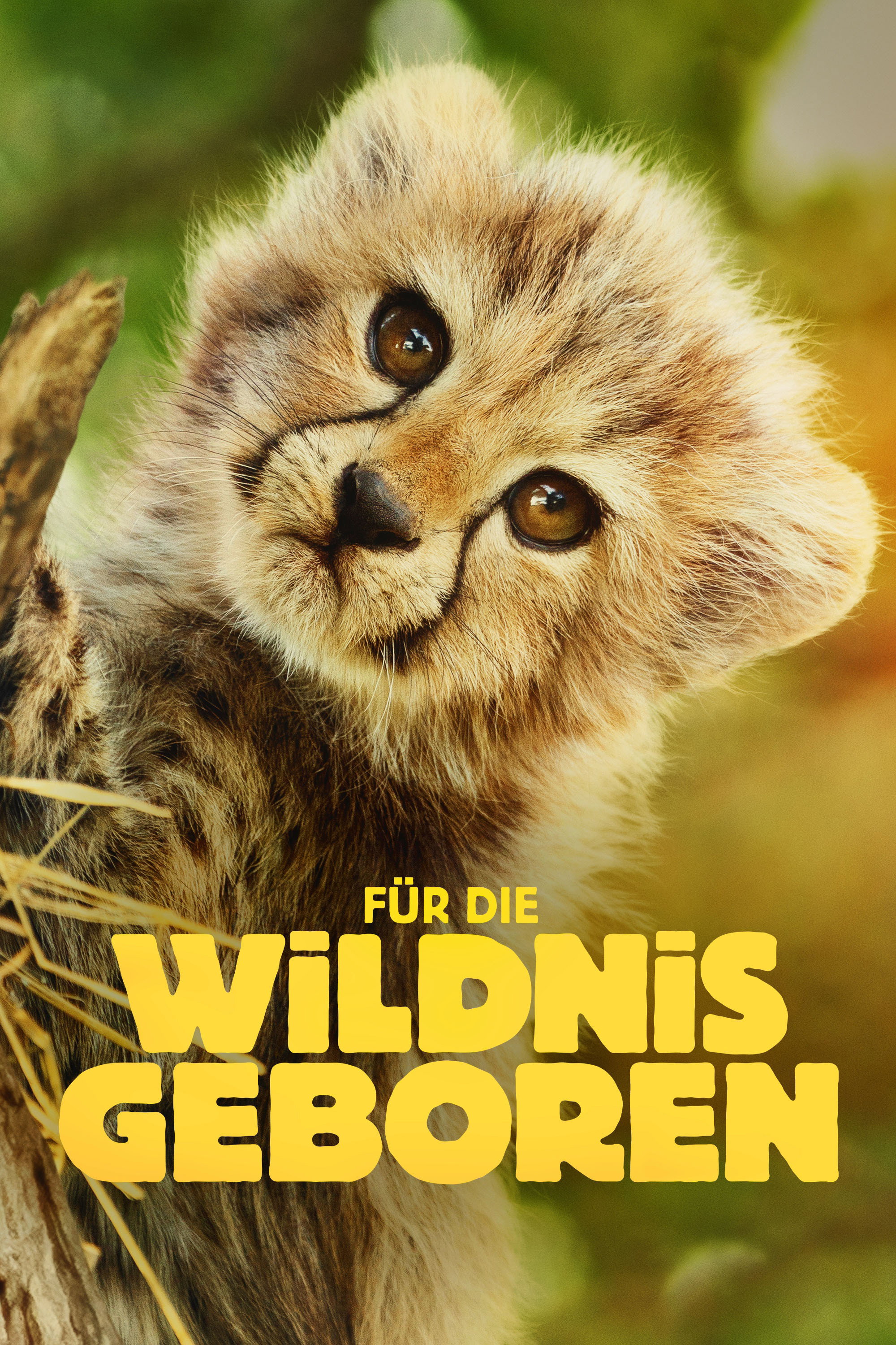  Für die Wildnis geboren 