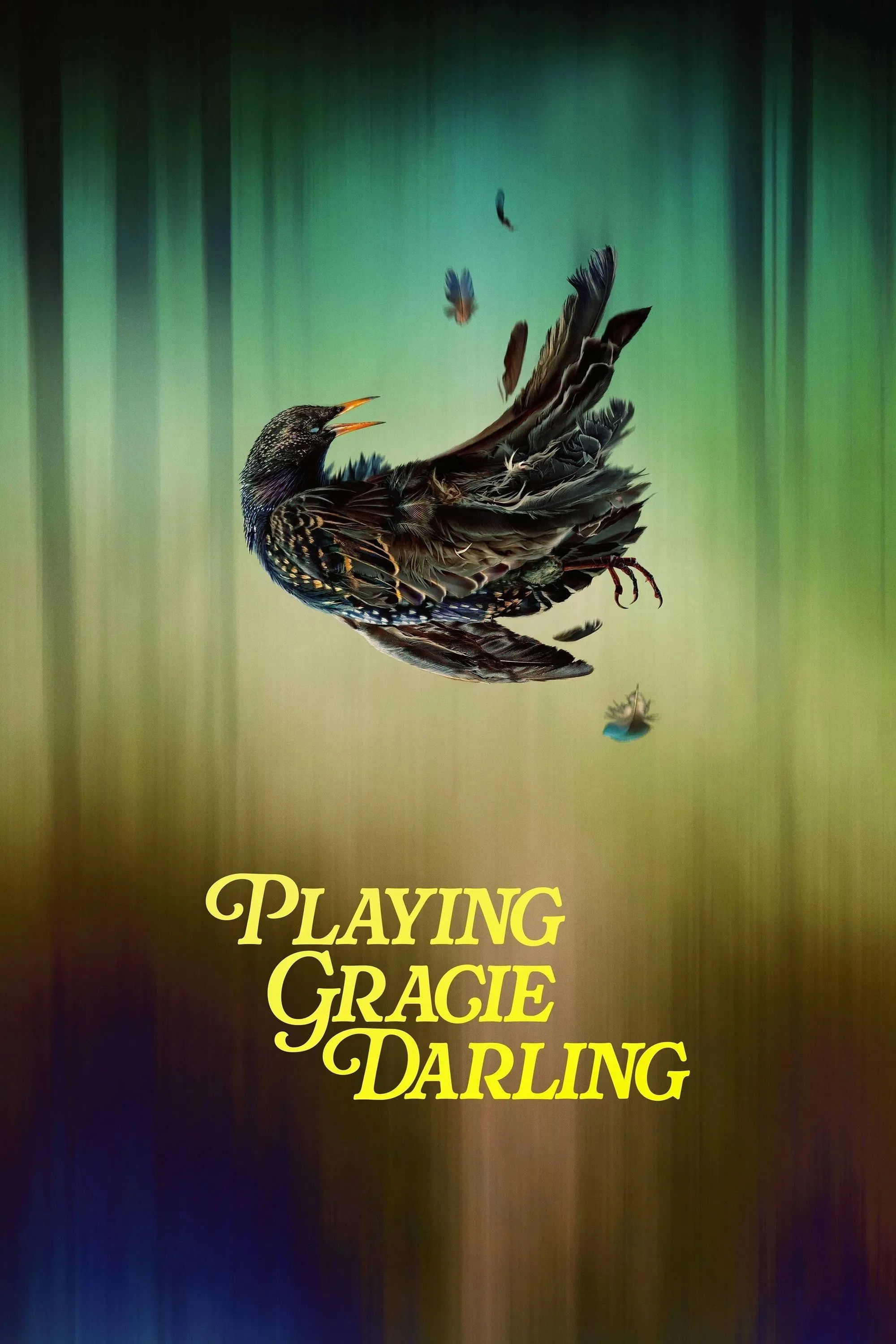  Playing Gracie Darling 