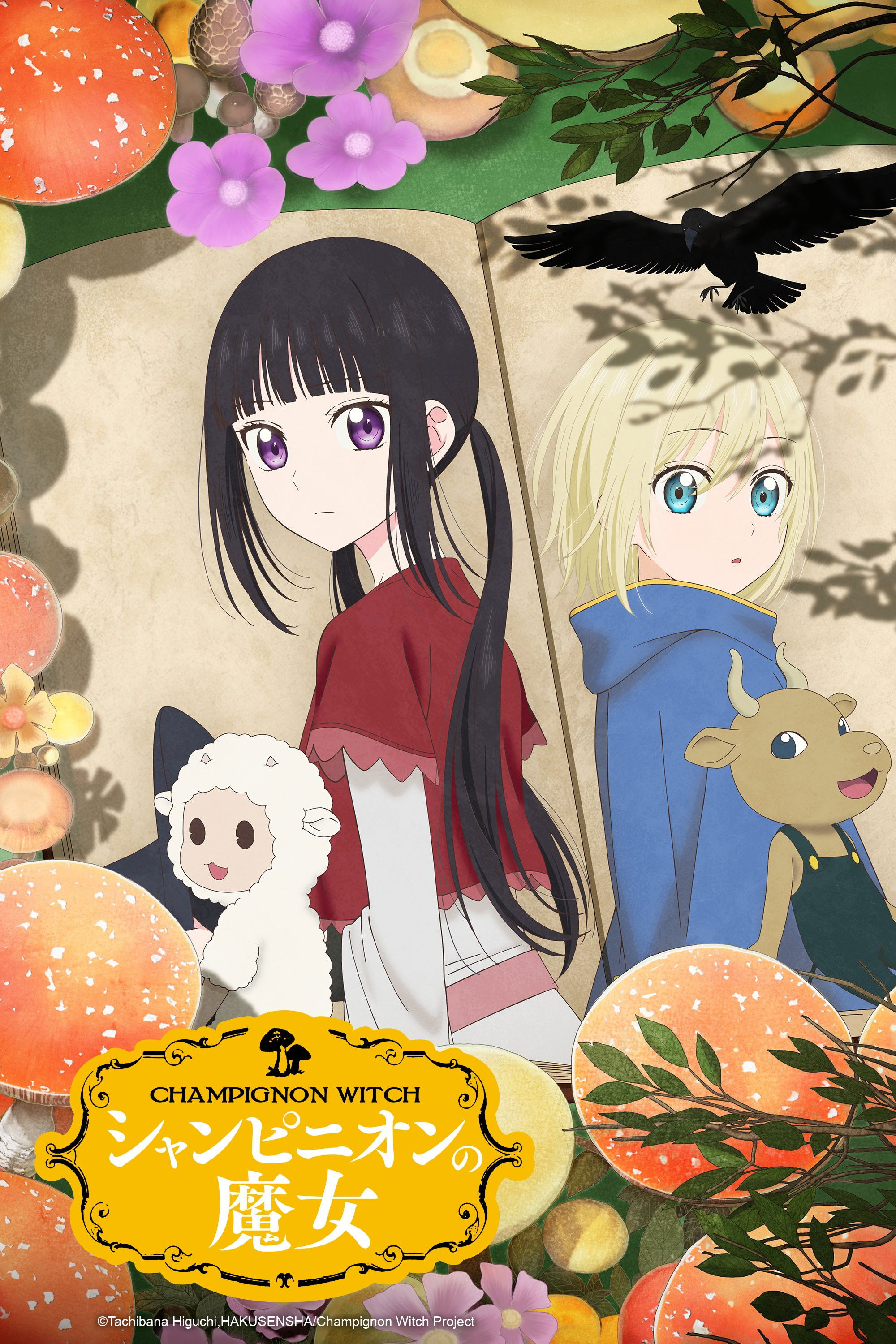  Champignon Witch 