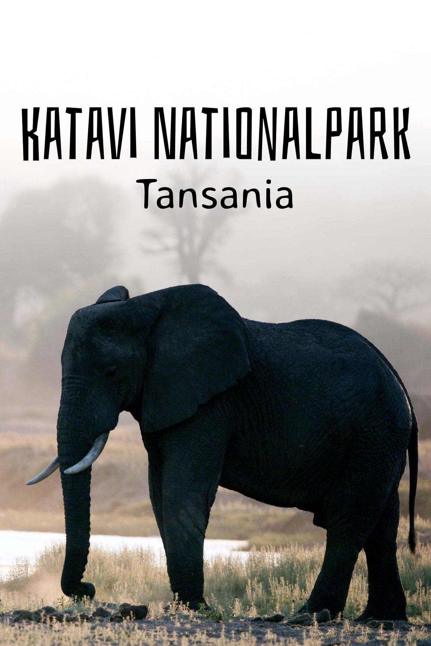  Katavi Nationalpark Tansania 