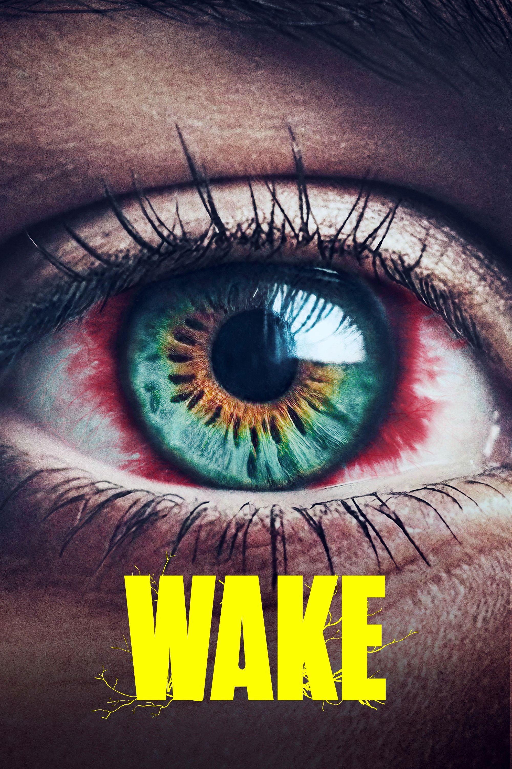  WAKE 