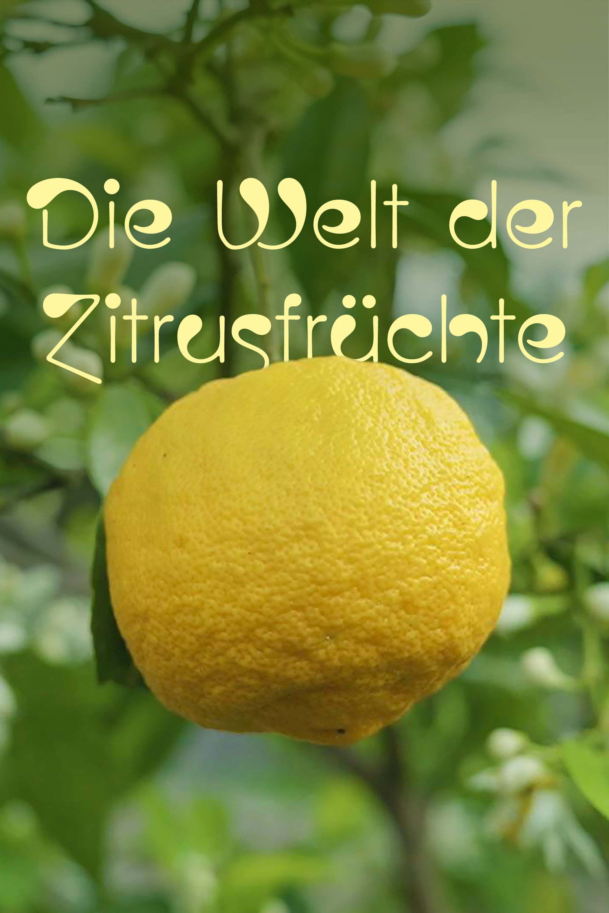  Die Welt der Zitrusfrüchte 