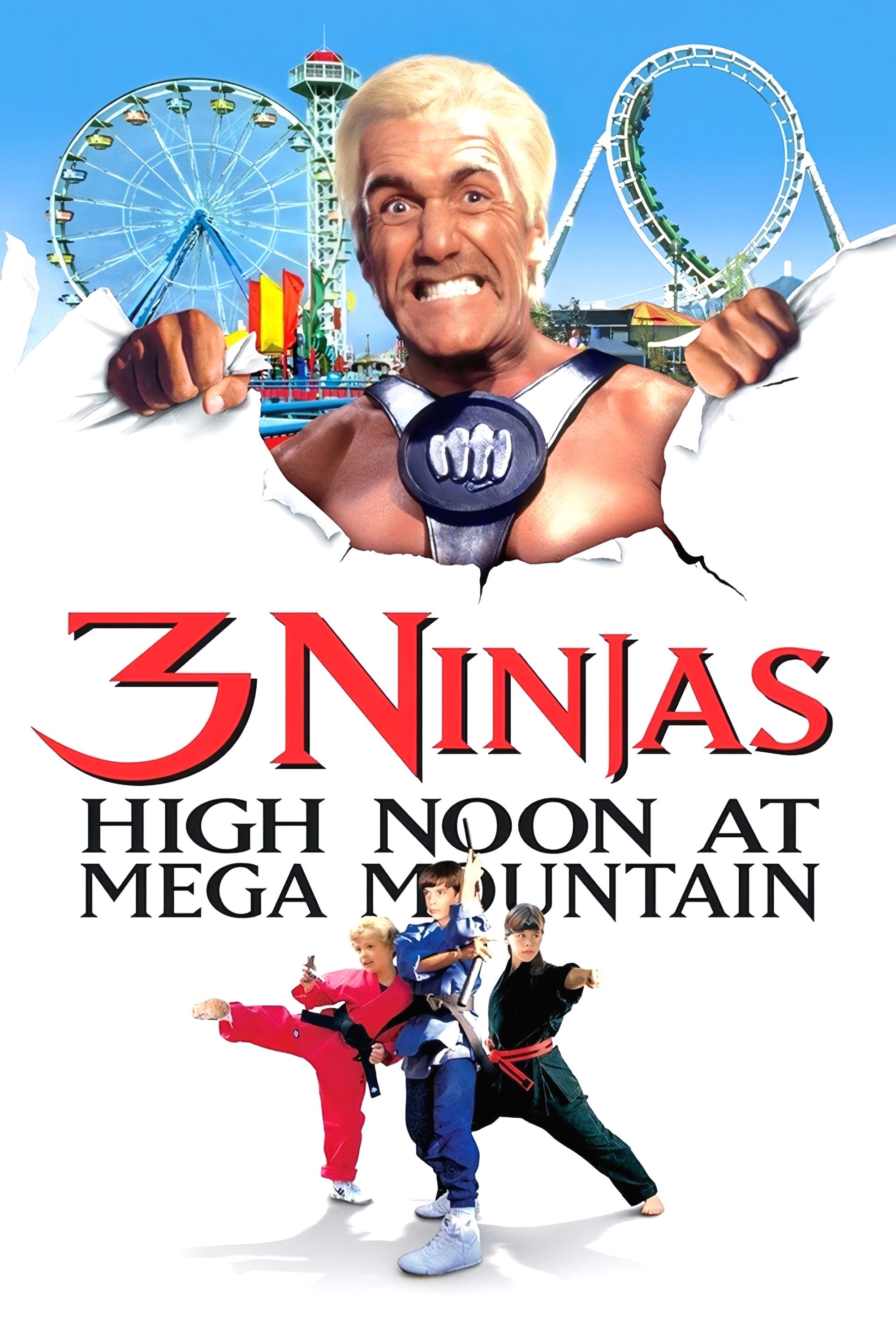  3 Ninja Kids - Mission Freizeitpark 