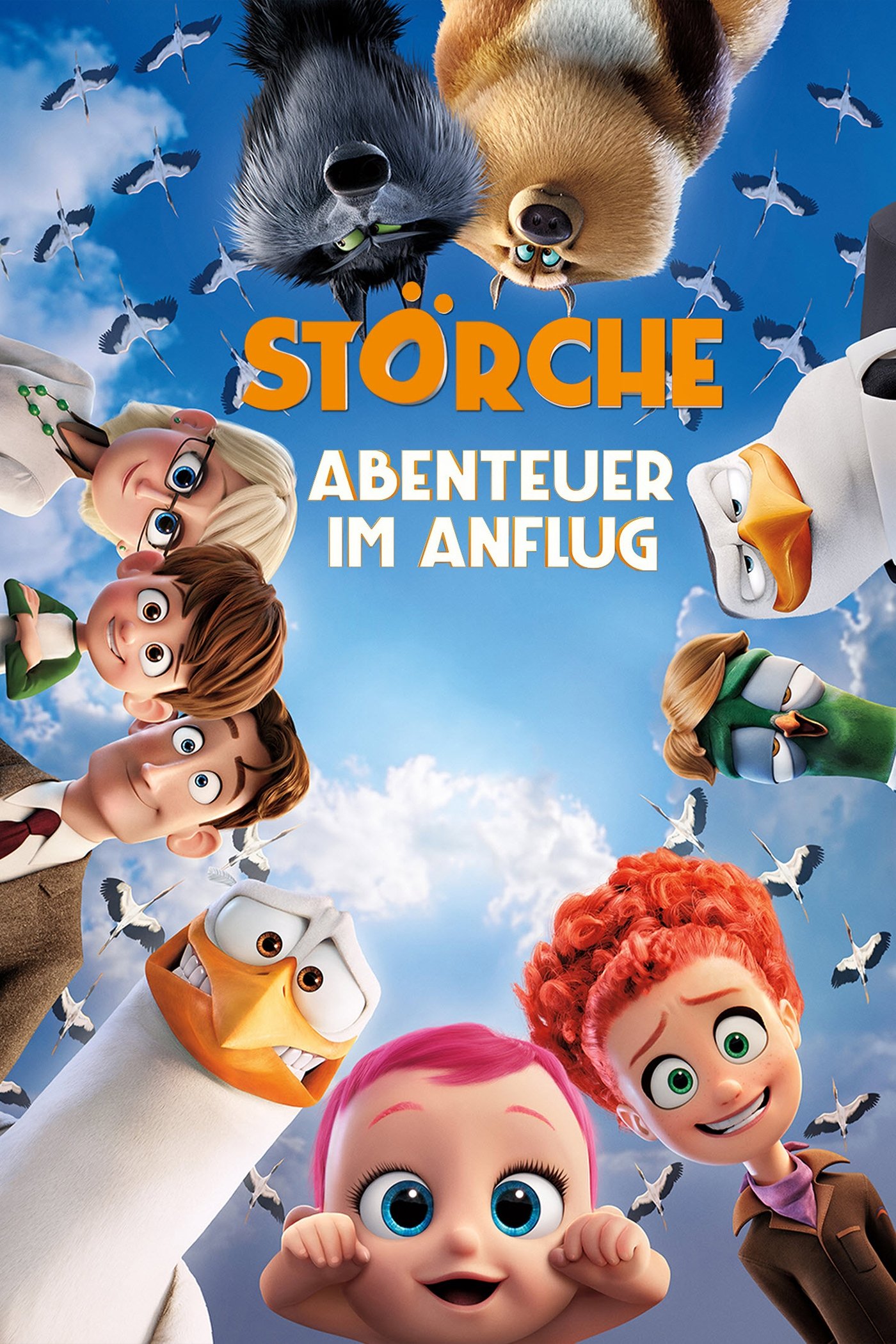 Störche - Abenteuer im Anflug 