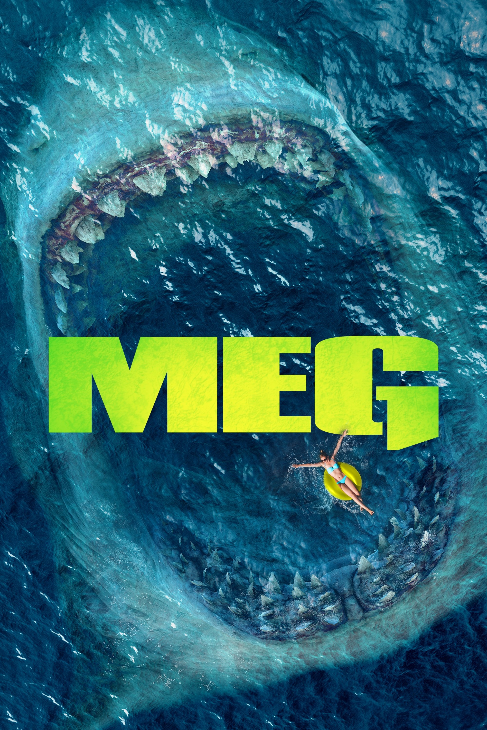  Meg 