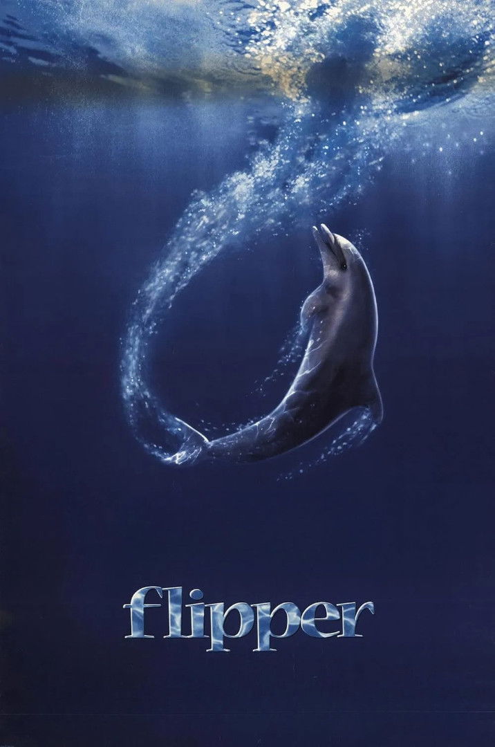  Flipper 