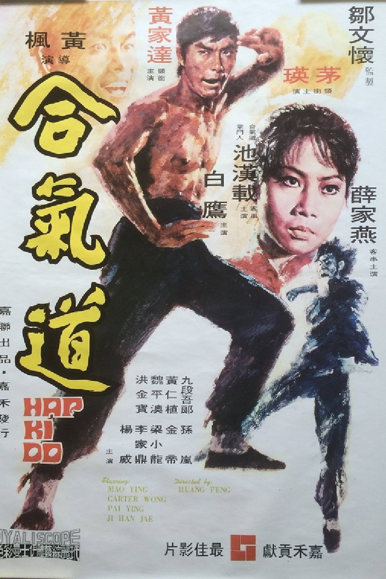 Hapkido 