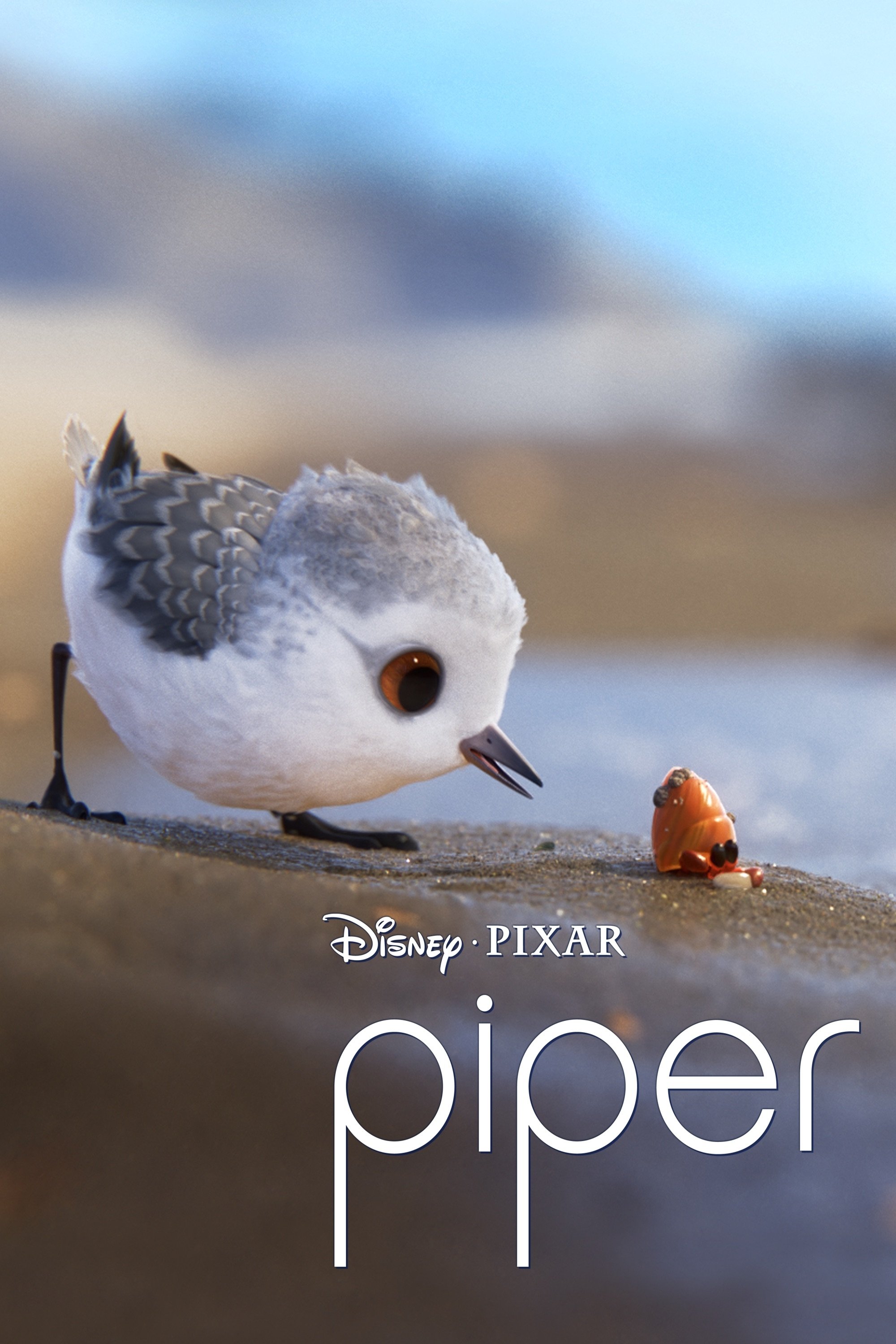  Piper 
