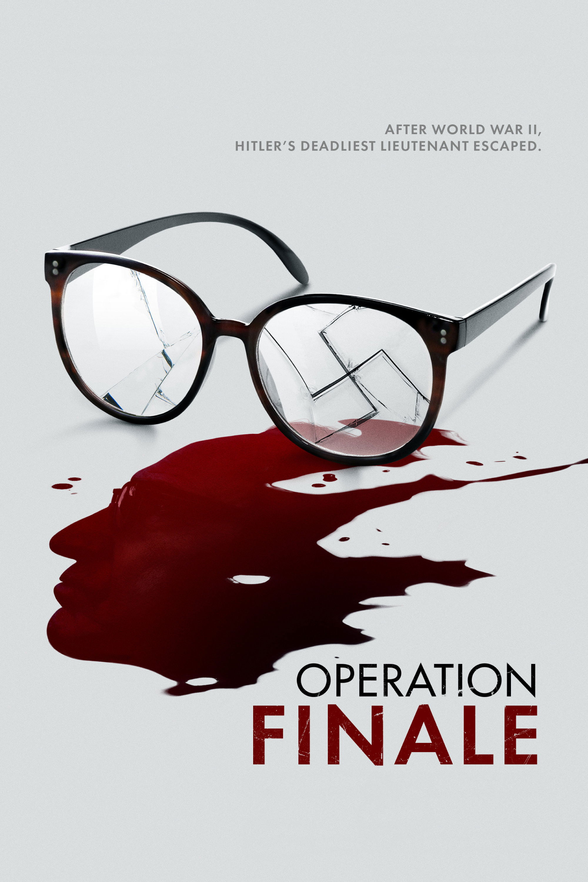  Operation Finale 