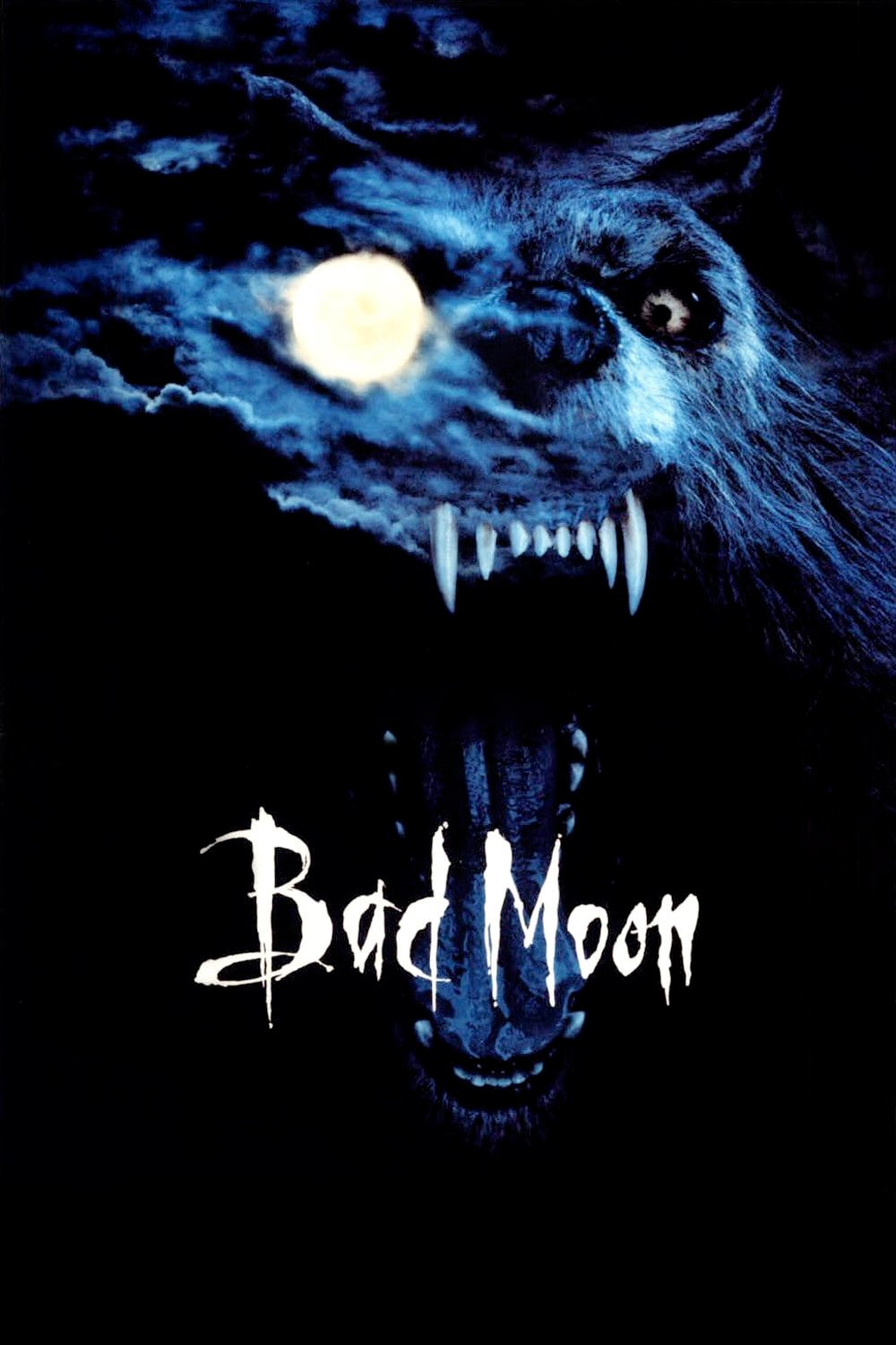 Bad Moon 