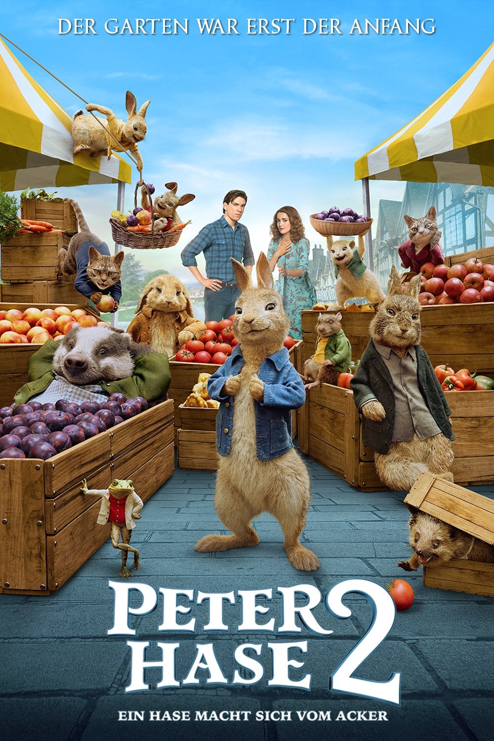 Peter Hase 2 - Ein Hase macht sich vom Acker 