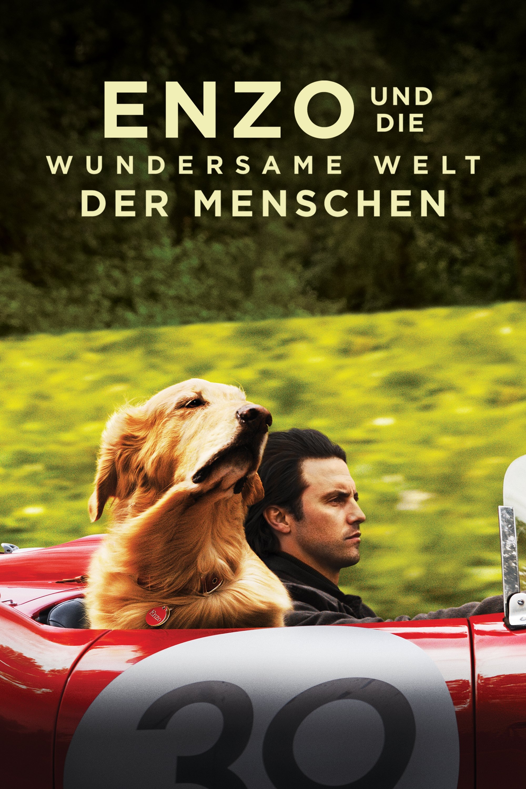  Enzo und die wundersame Welt der Menschen 