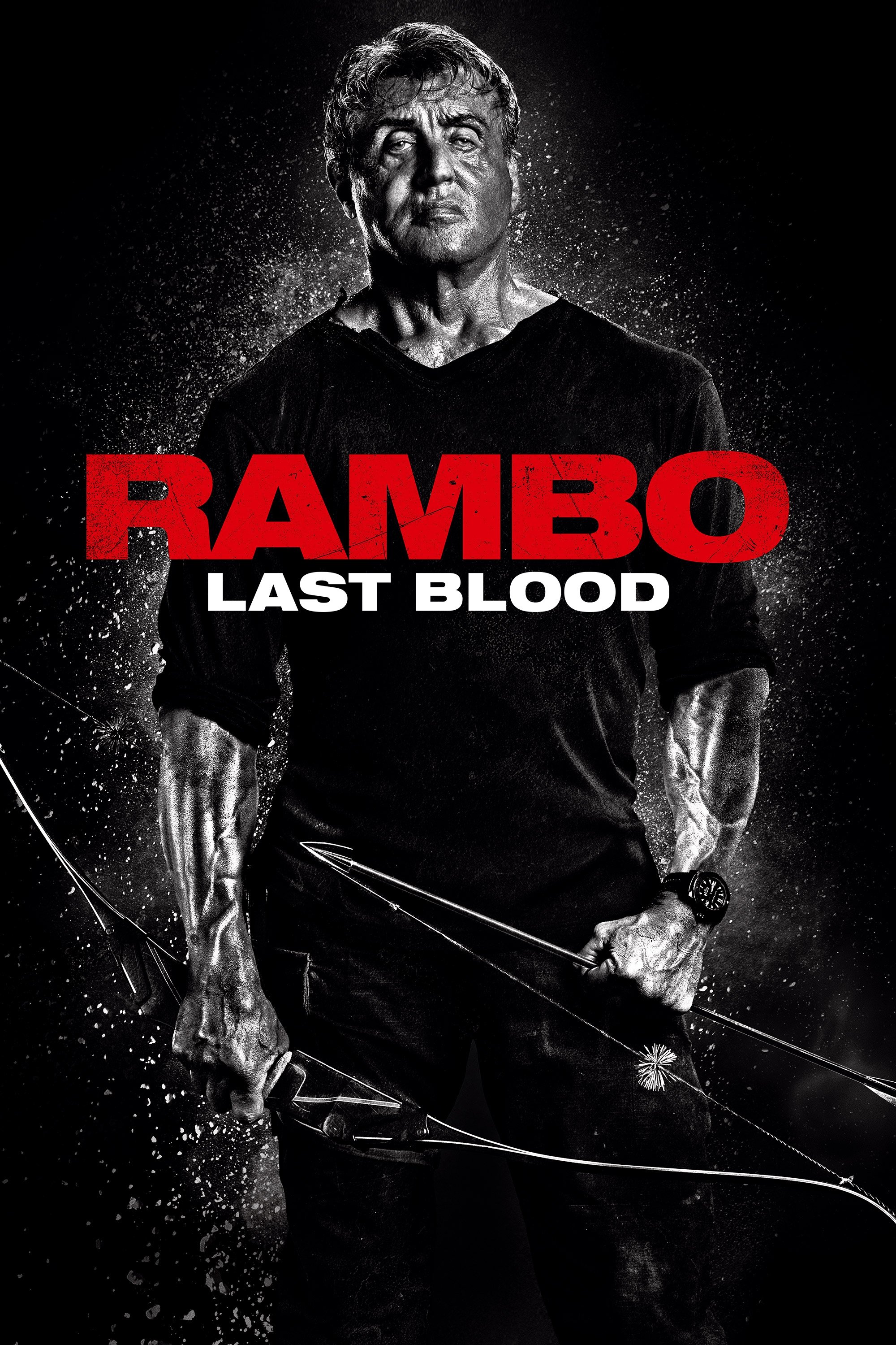  Rambo - Last Blood 