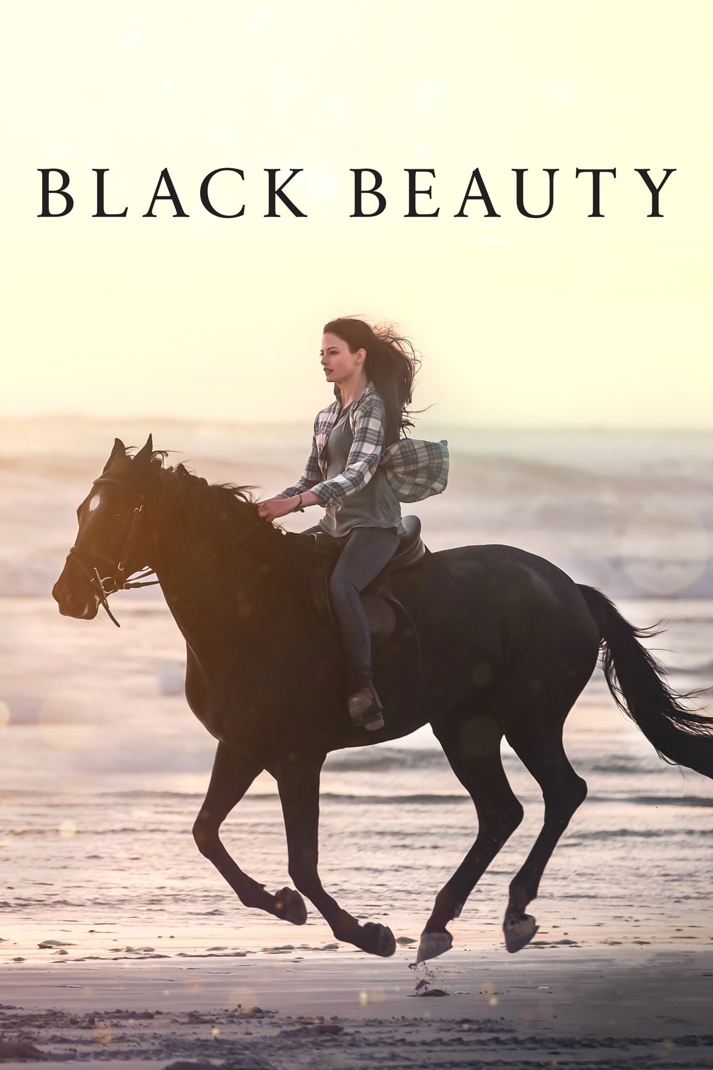  Black Beauty 