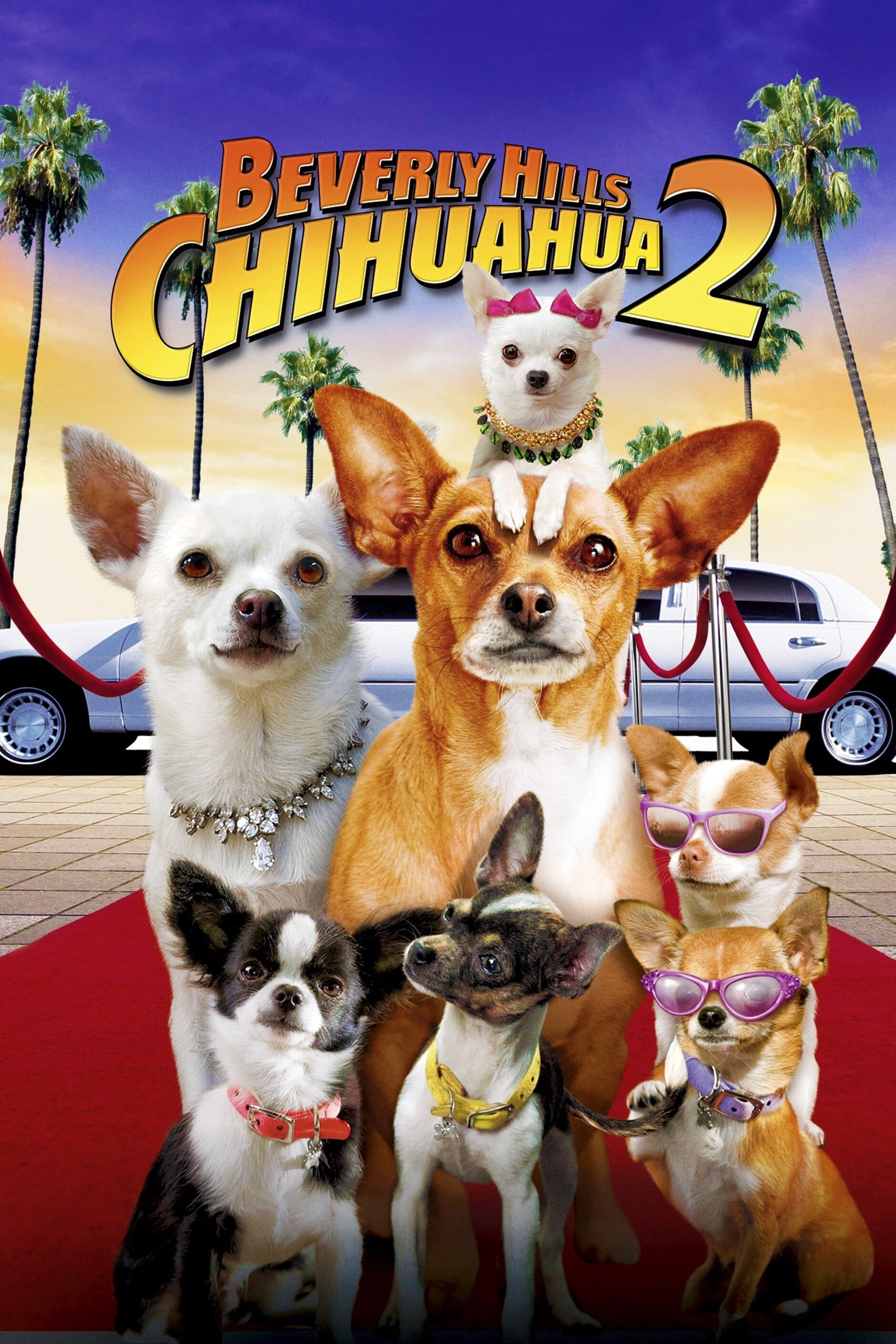  Beverly Hills Chihuahua 2 