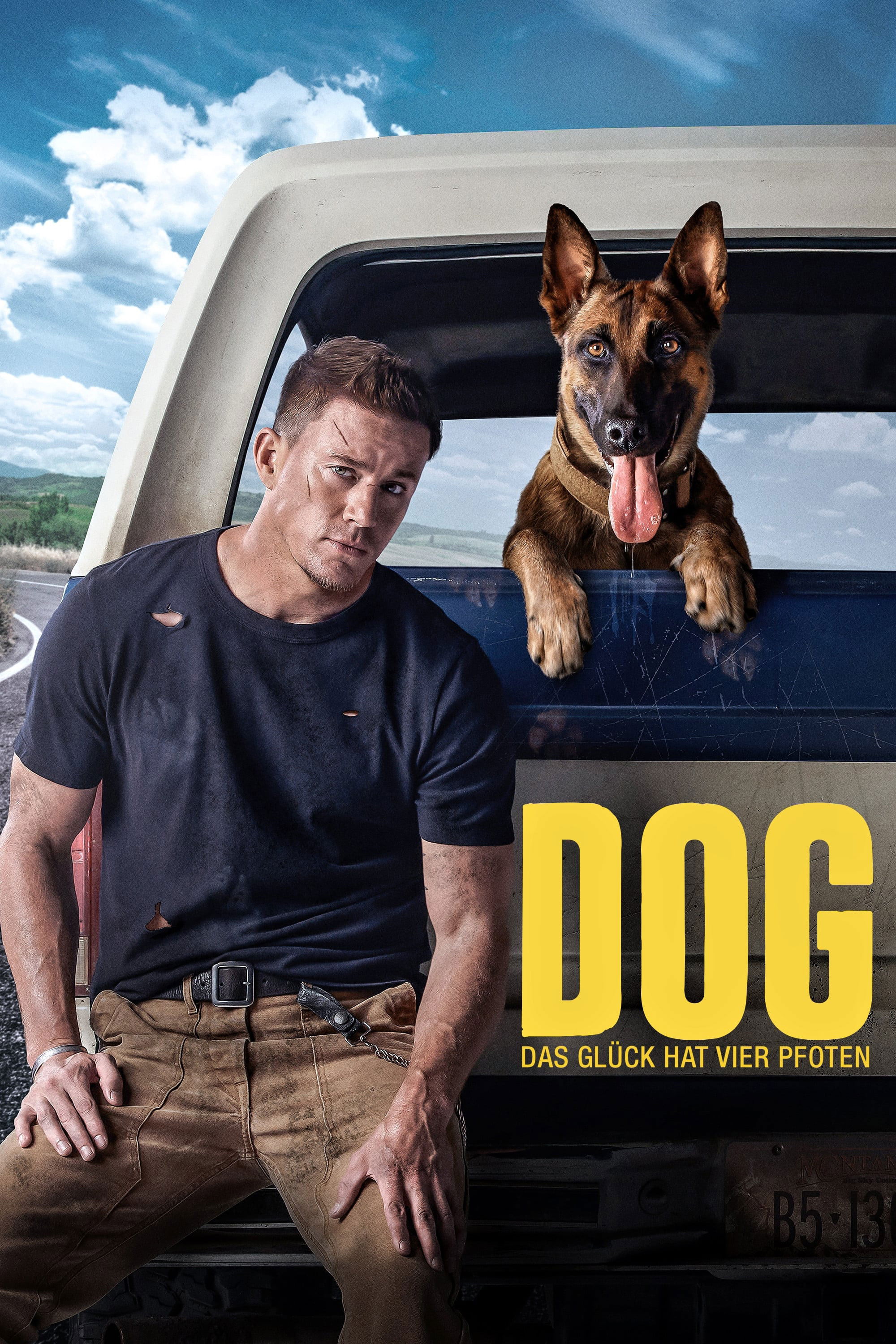  Dog 