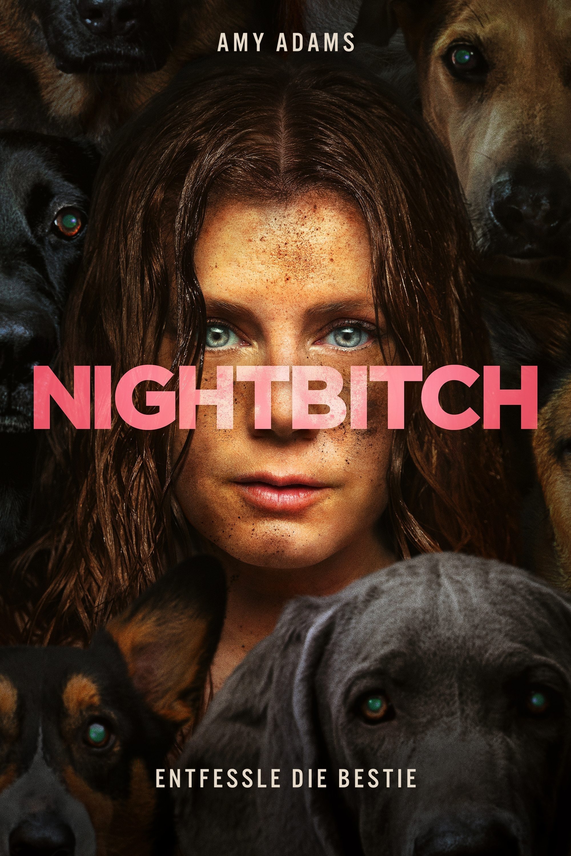  Nightbitch 