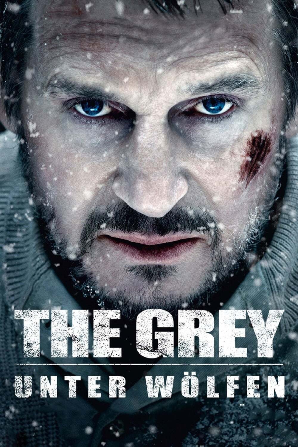  The Grey - Unter Wölfen 