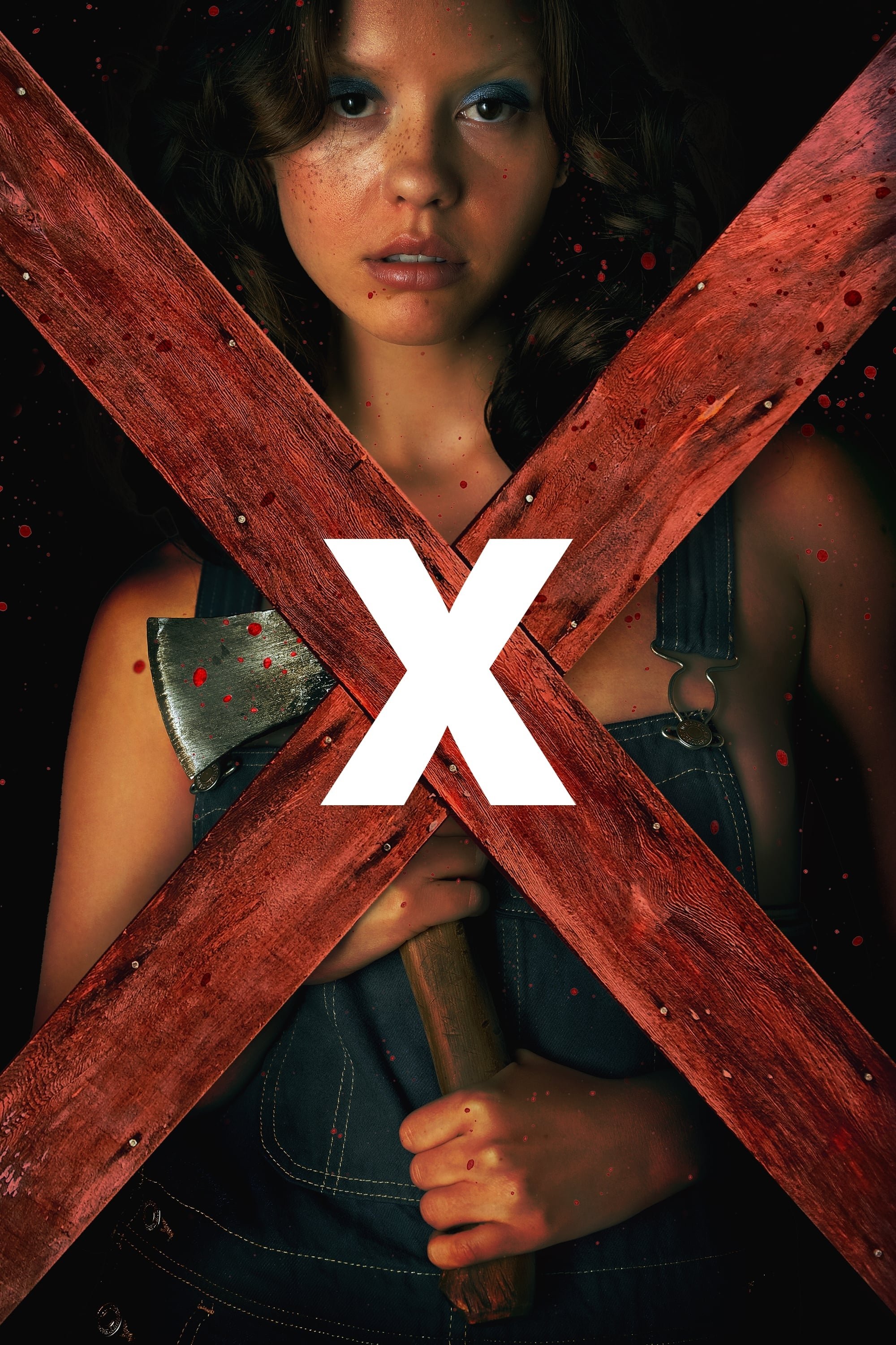  X 