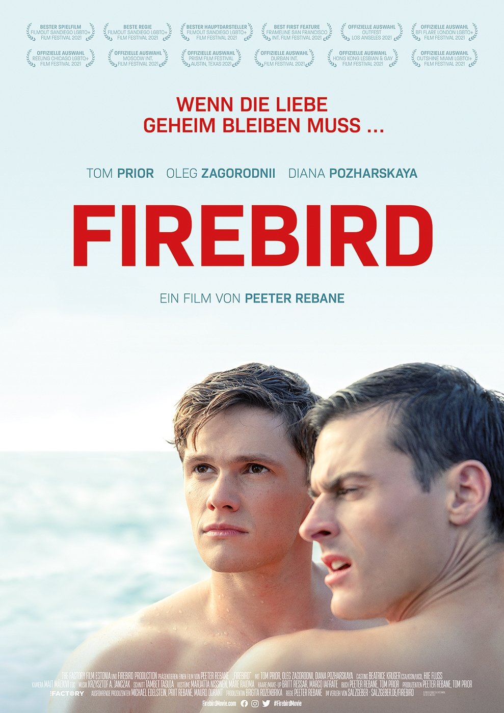  Firebird 