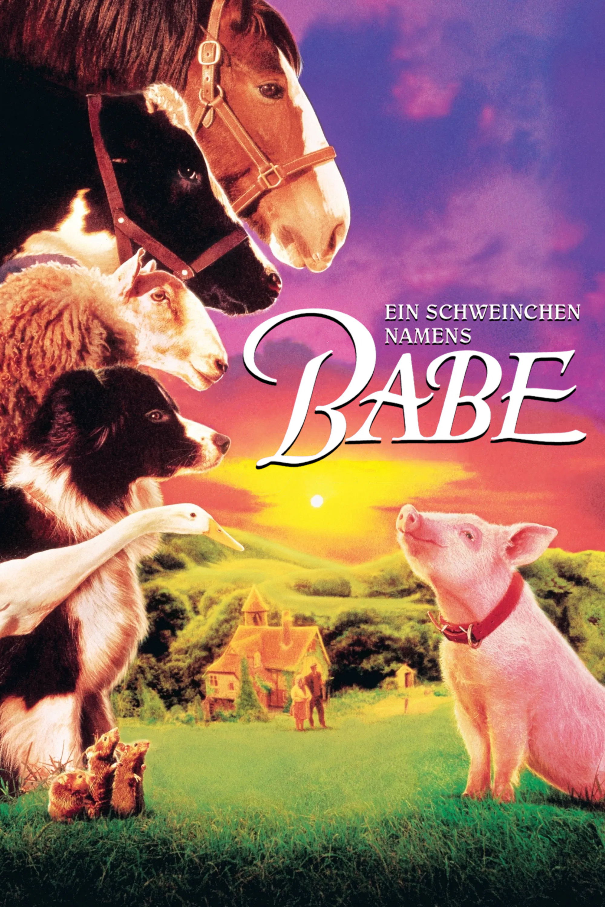  Ein Schweinchen namens Babe 