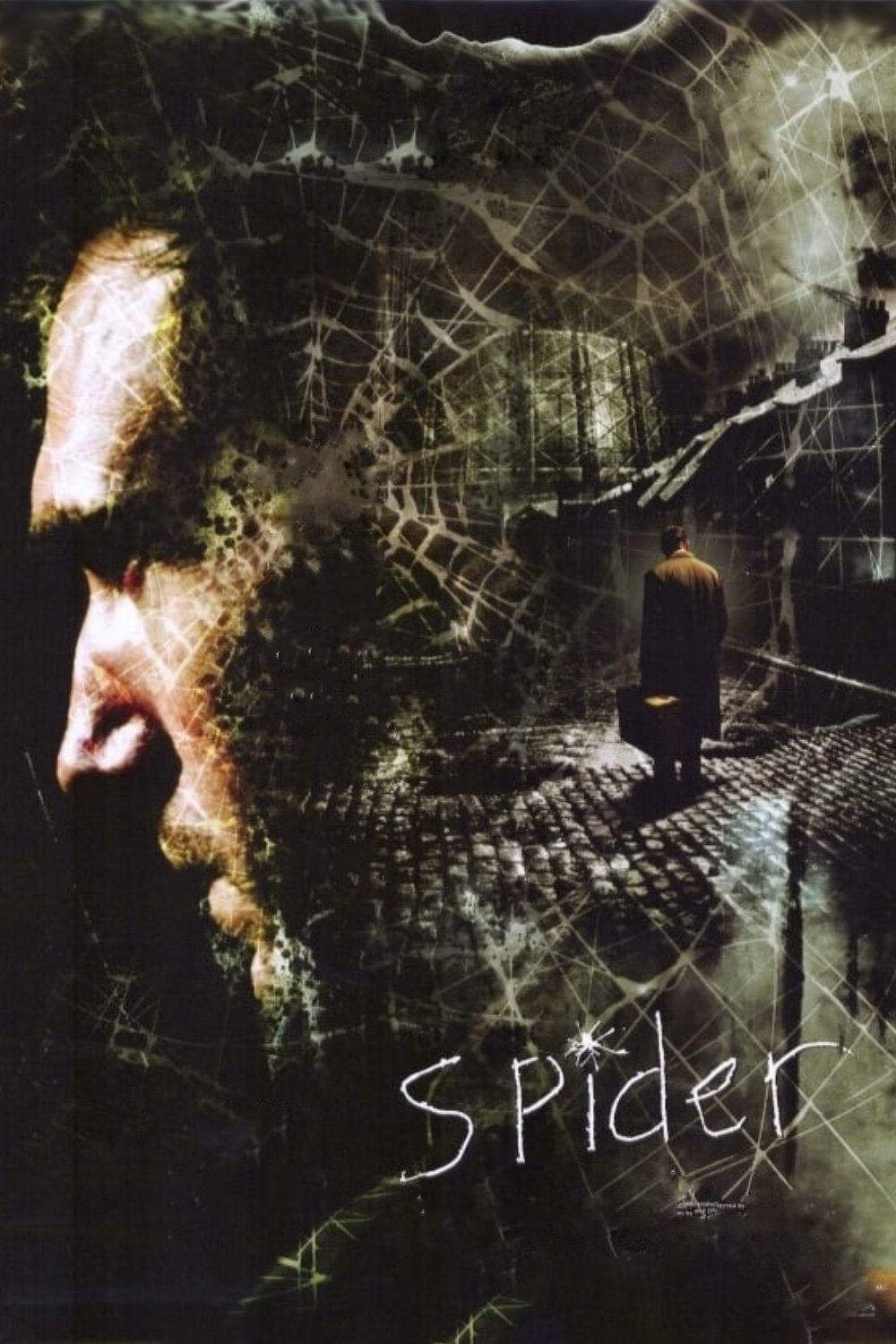  Spider 