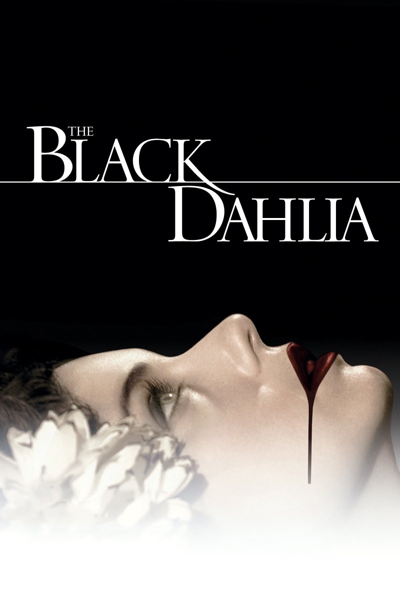  Black Dahlia 