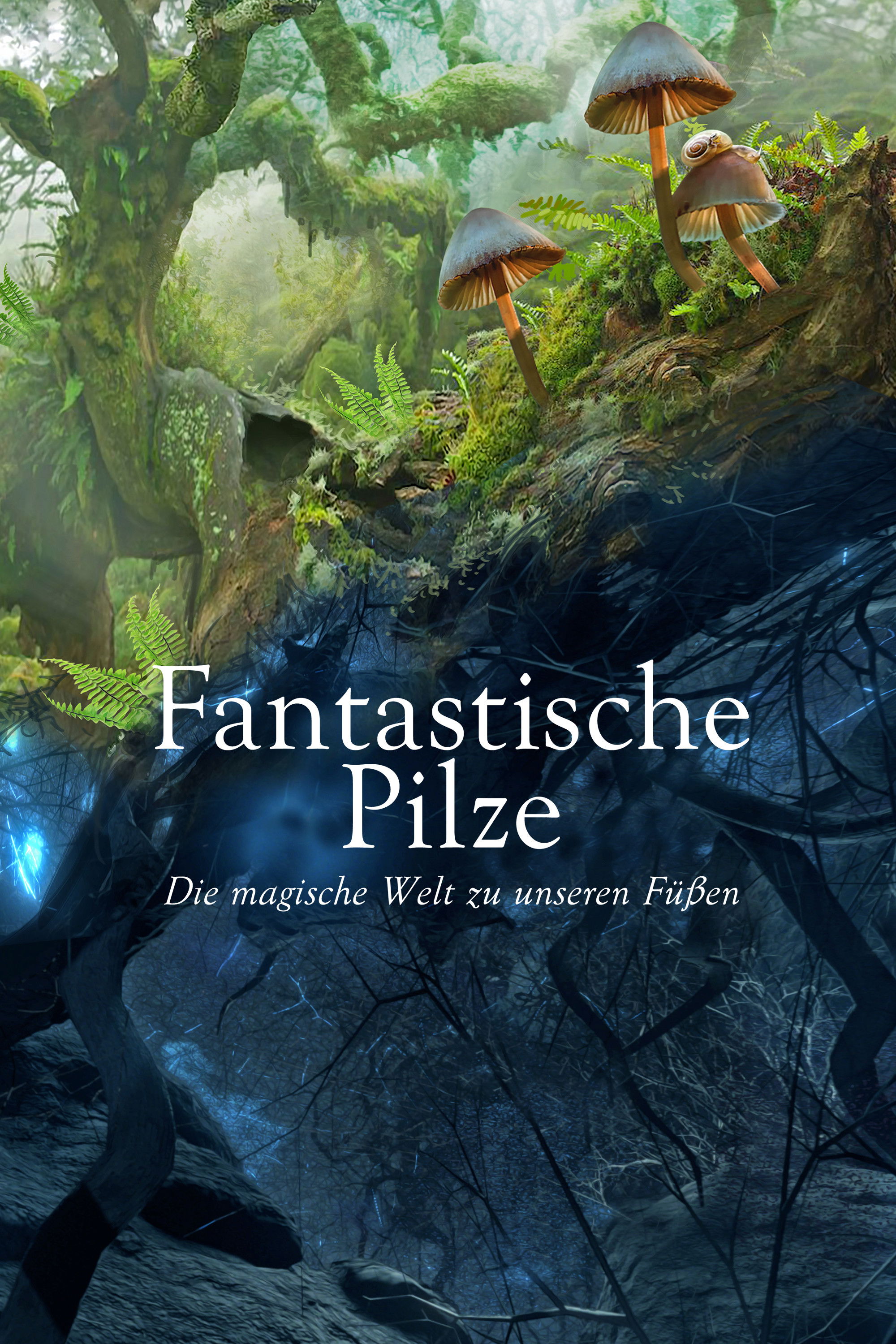  Fantastische Pilze 