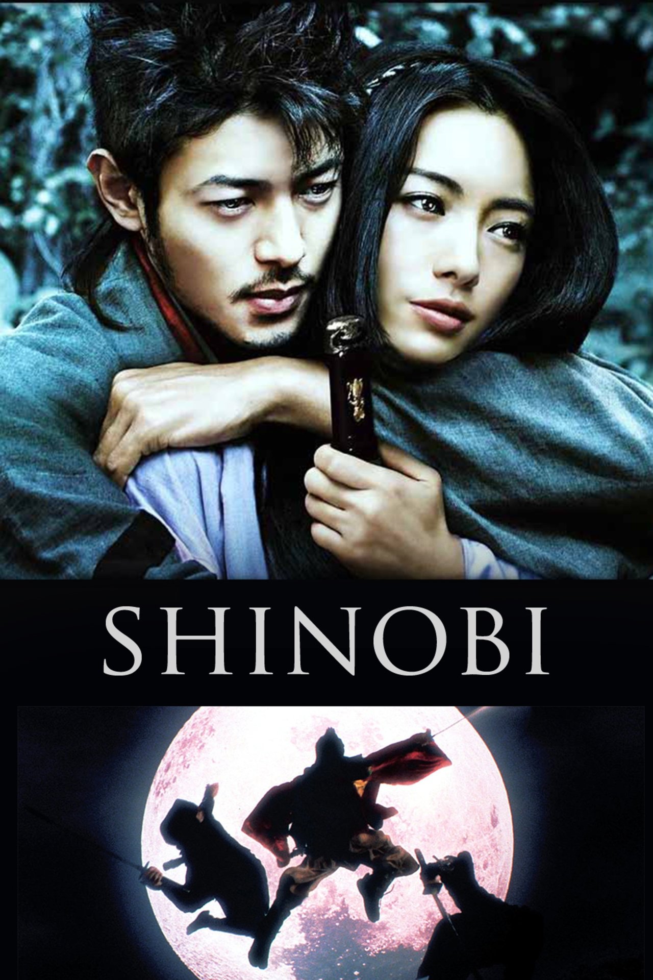  Shinobi - Kampf auf Liebe und Tod 