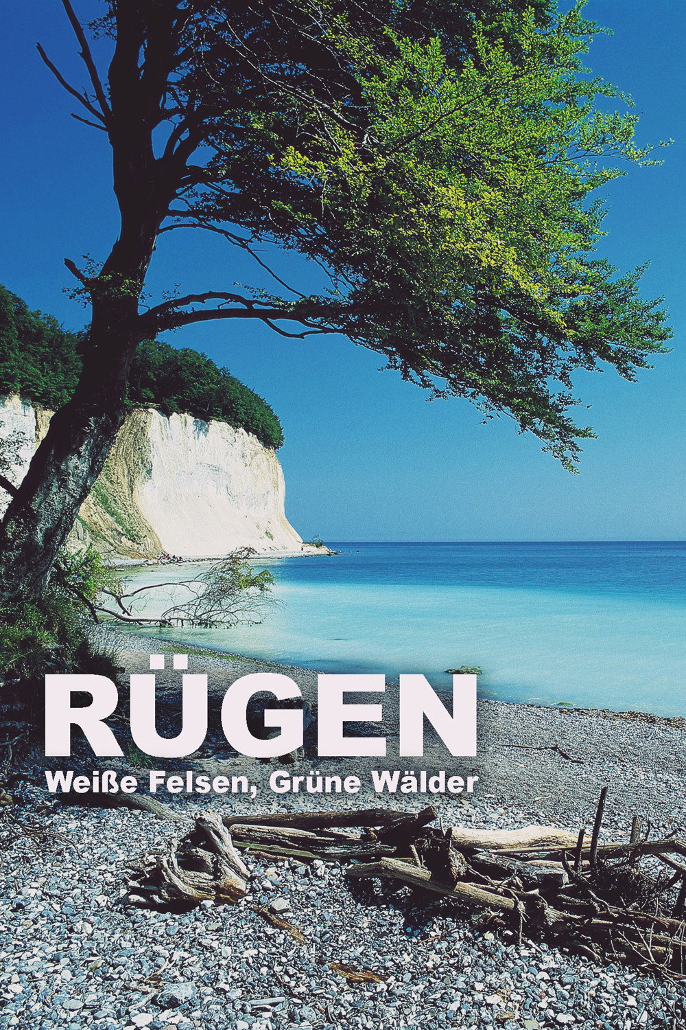  Rügen - Weiße Felsen, grüne Wälder 