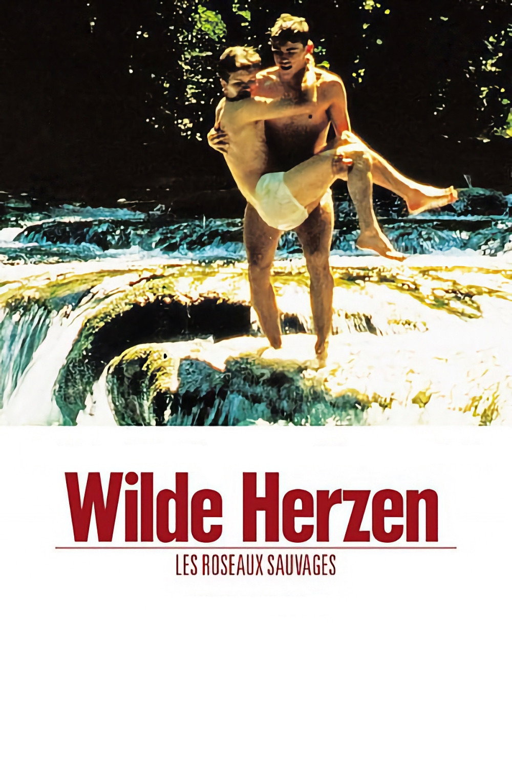  Wilde Herzen 