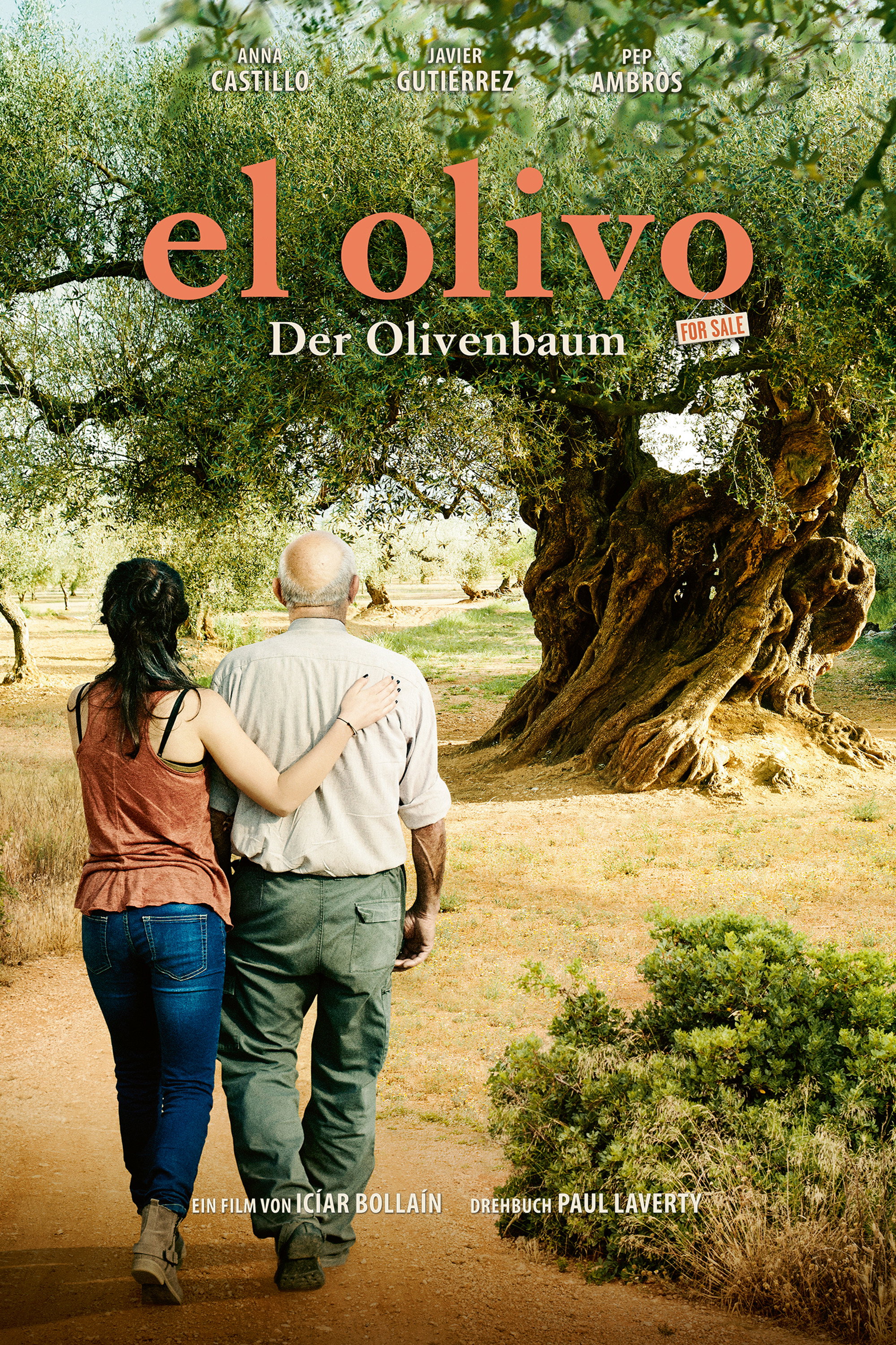  El Olivo - Der Olivenbaum 